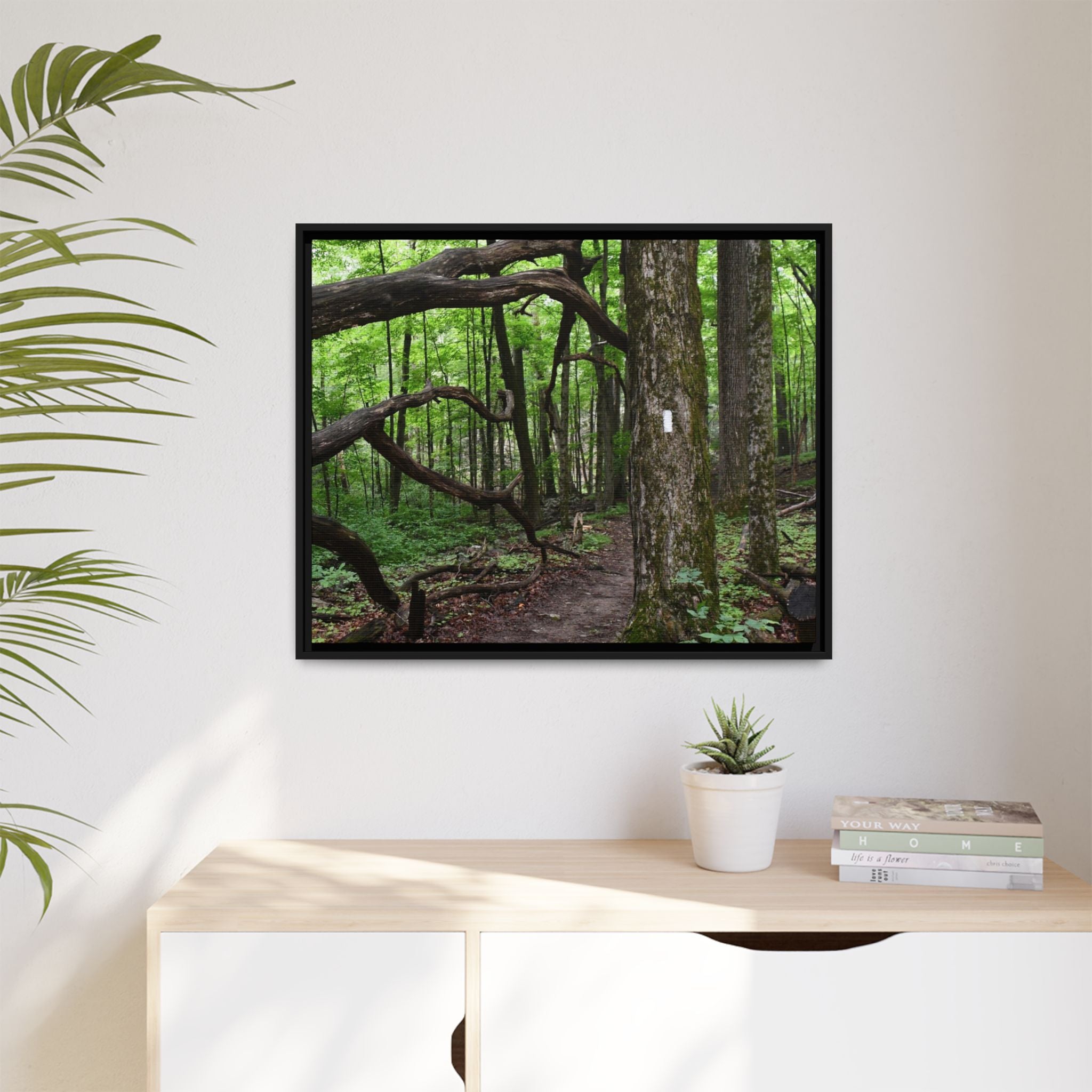 Framed Appalachian Trail Forest Canvas Print