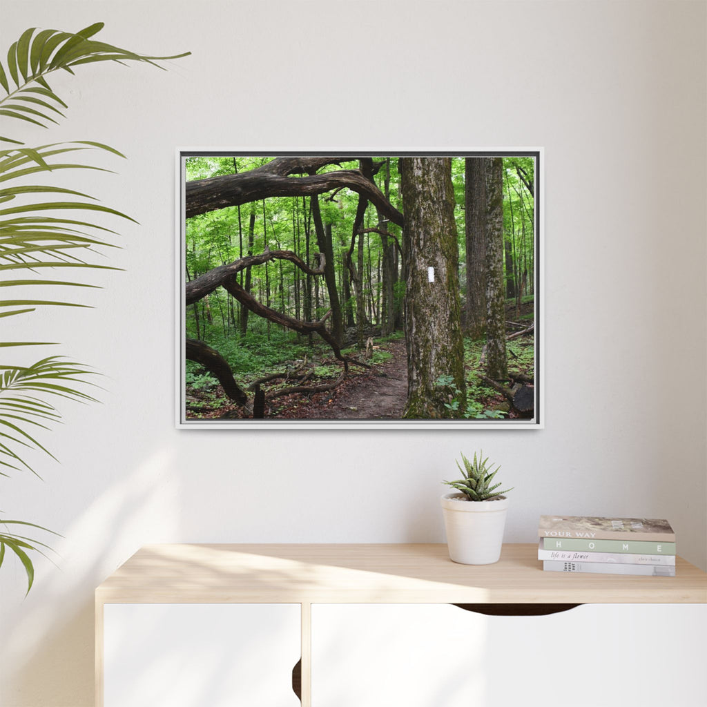 Framed Appalachian Trail Forest Canvas Print