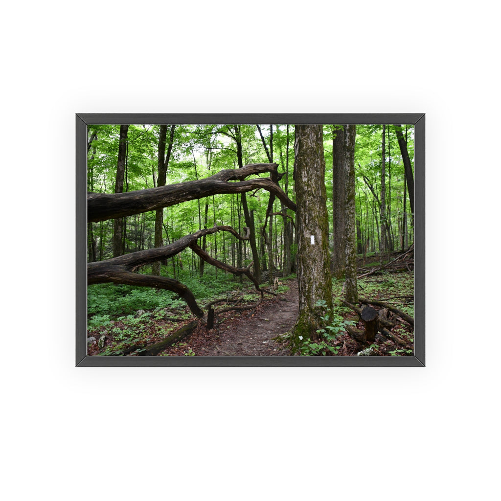Appalachian Trail Blaze Framed Poster