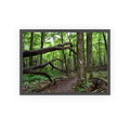Appalachian Trail Blaze Framed Poster