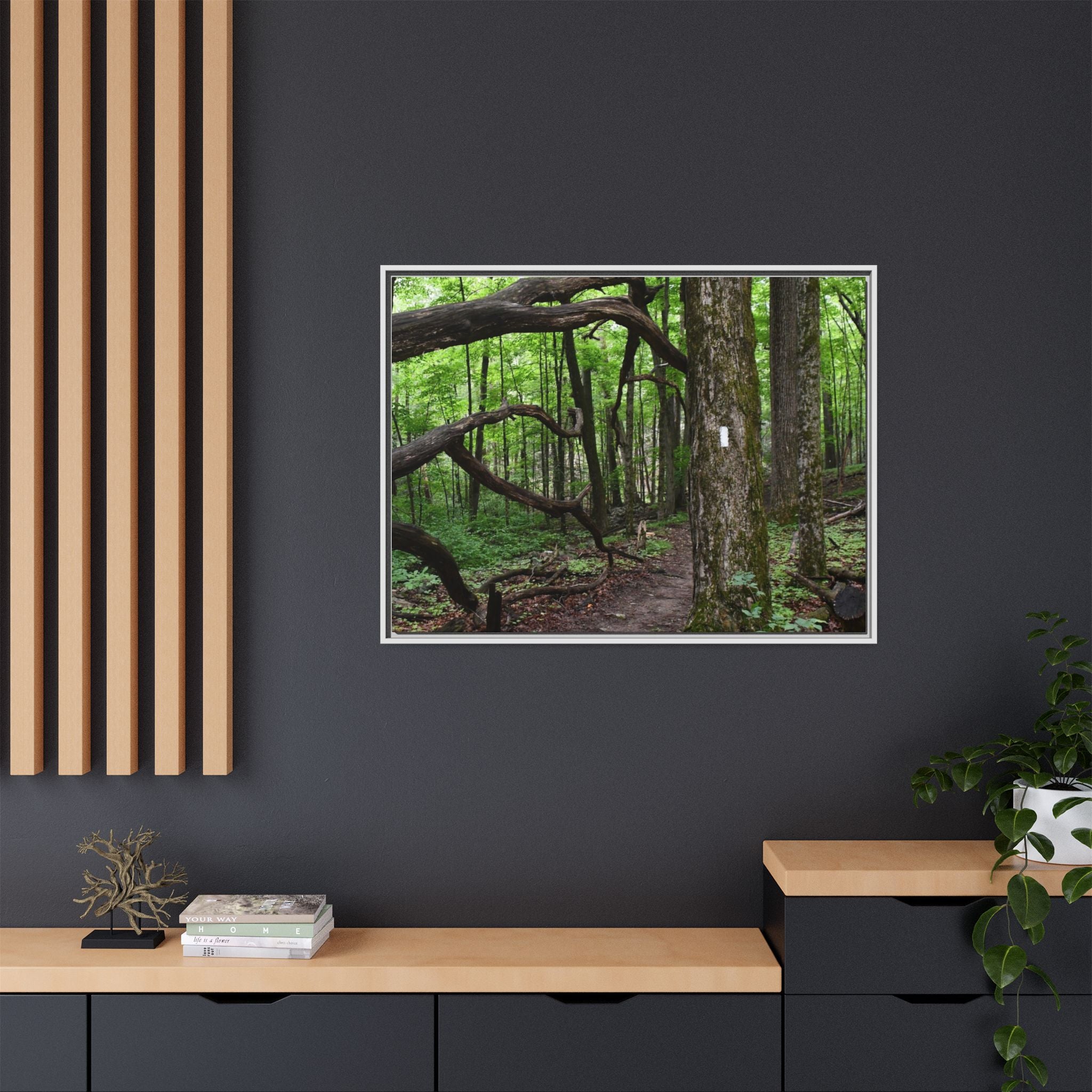 Framed Appalachian Trail Forest Canvas Print
