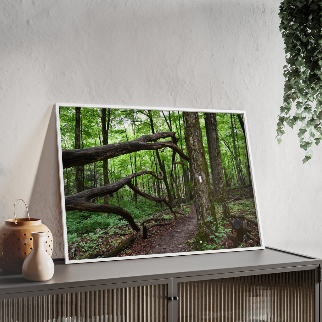 Appalachian Trail Blaze Framed Poster
