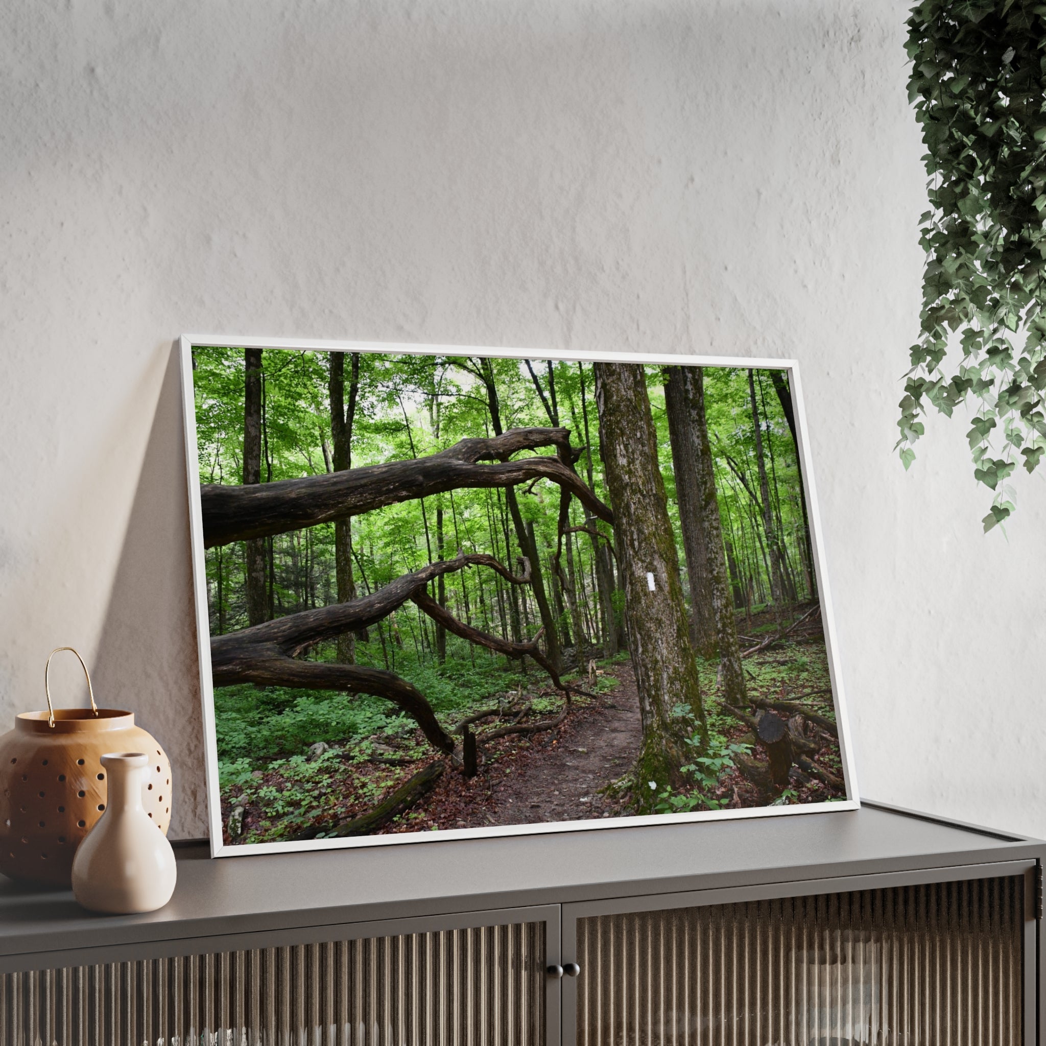 Appalachian Trail Blaze Framed Poster