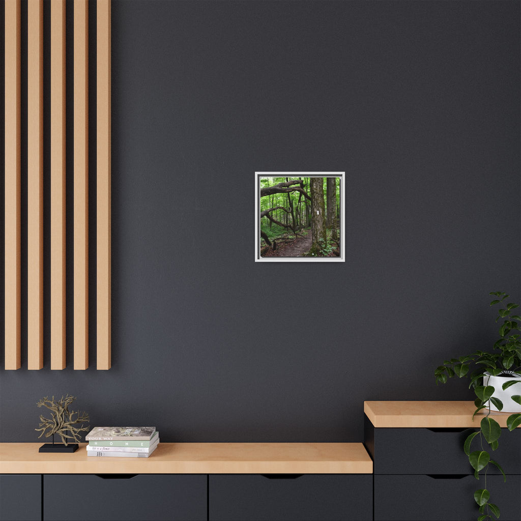 Framed Appalachian Trail Forest Canvas Print