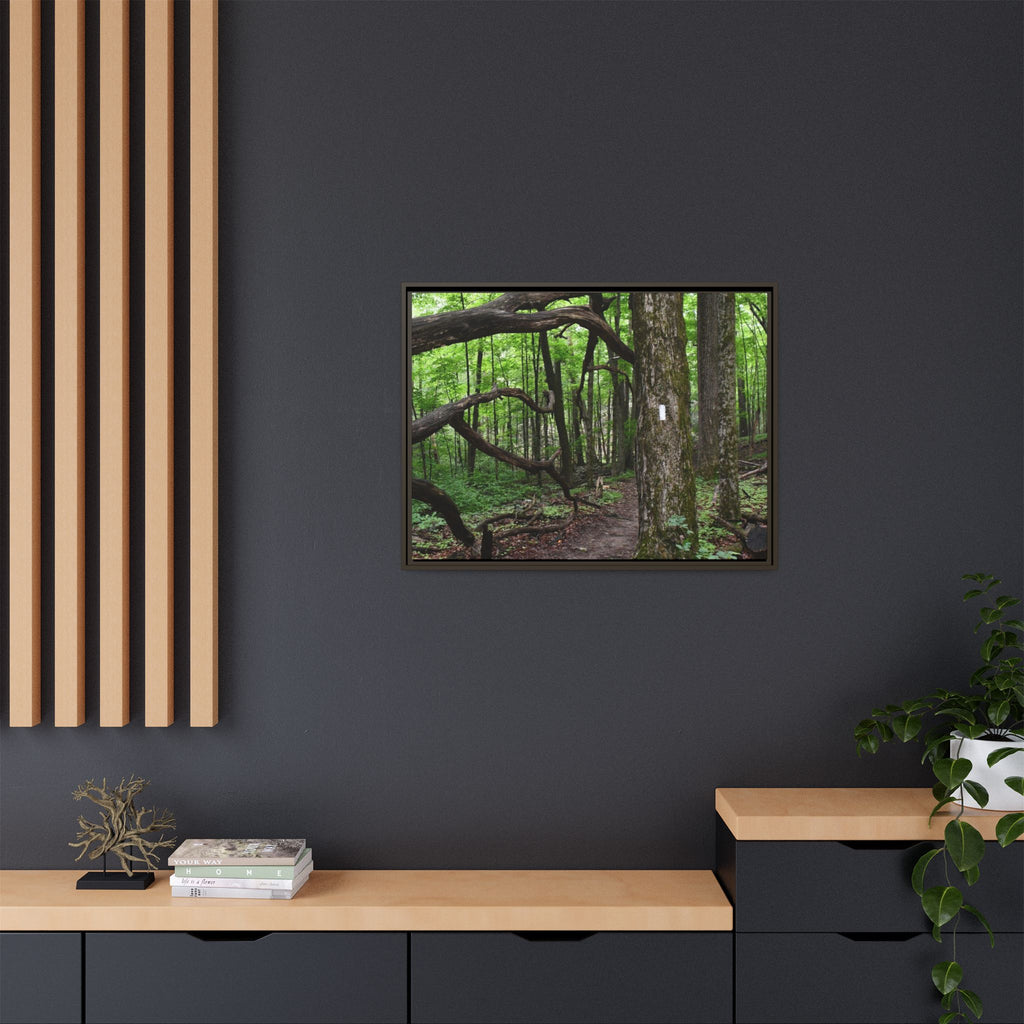 Framed Appalachian Trail Forest Canvas Print
