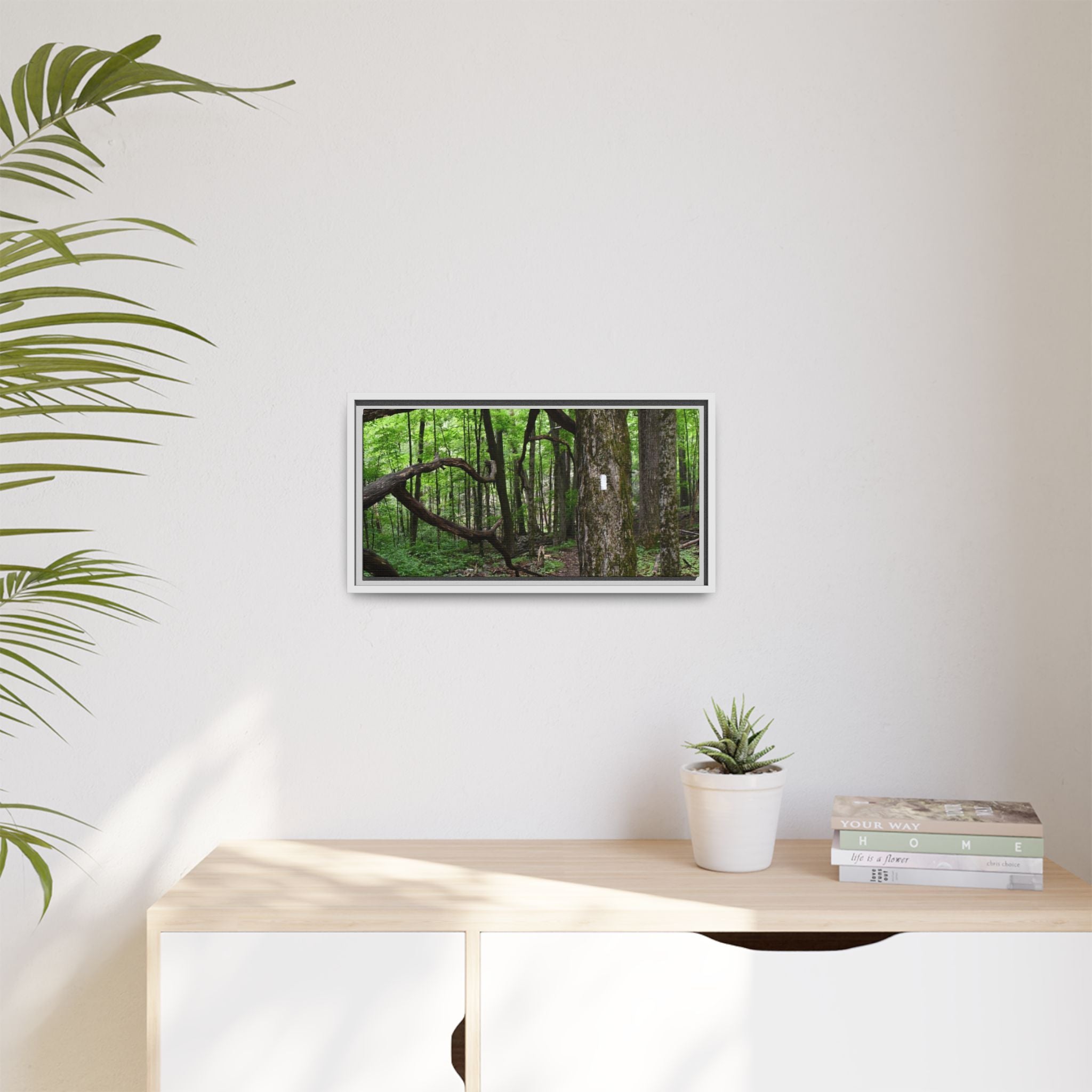 Framed Appalachian Trail Forest Canvas Print