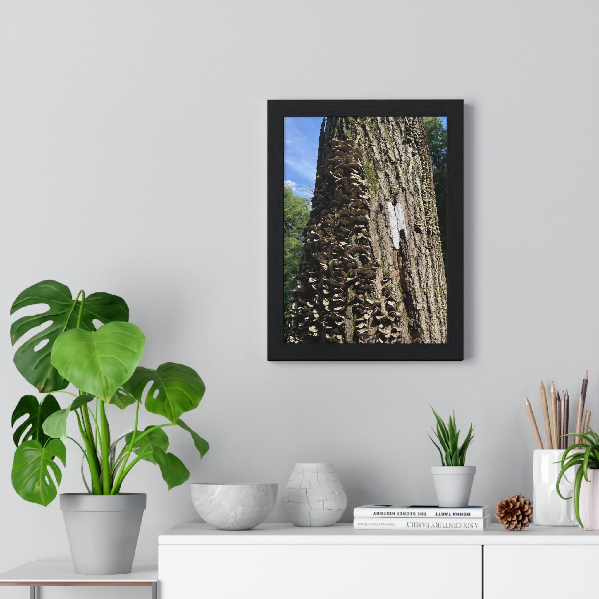 Appalachian Trail Tree Trunk + Mushroom Framed Poster