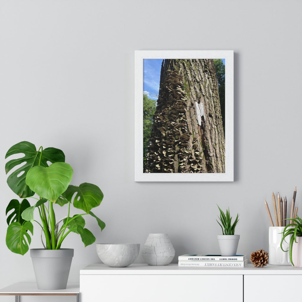 Appalachian Trail Tree Trunk + Mushroom Framed Poster