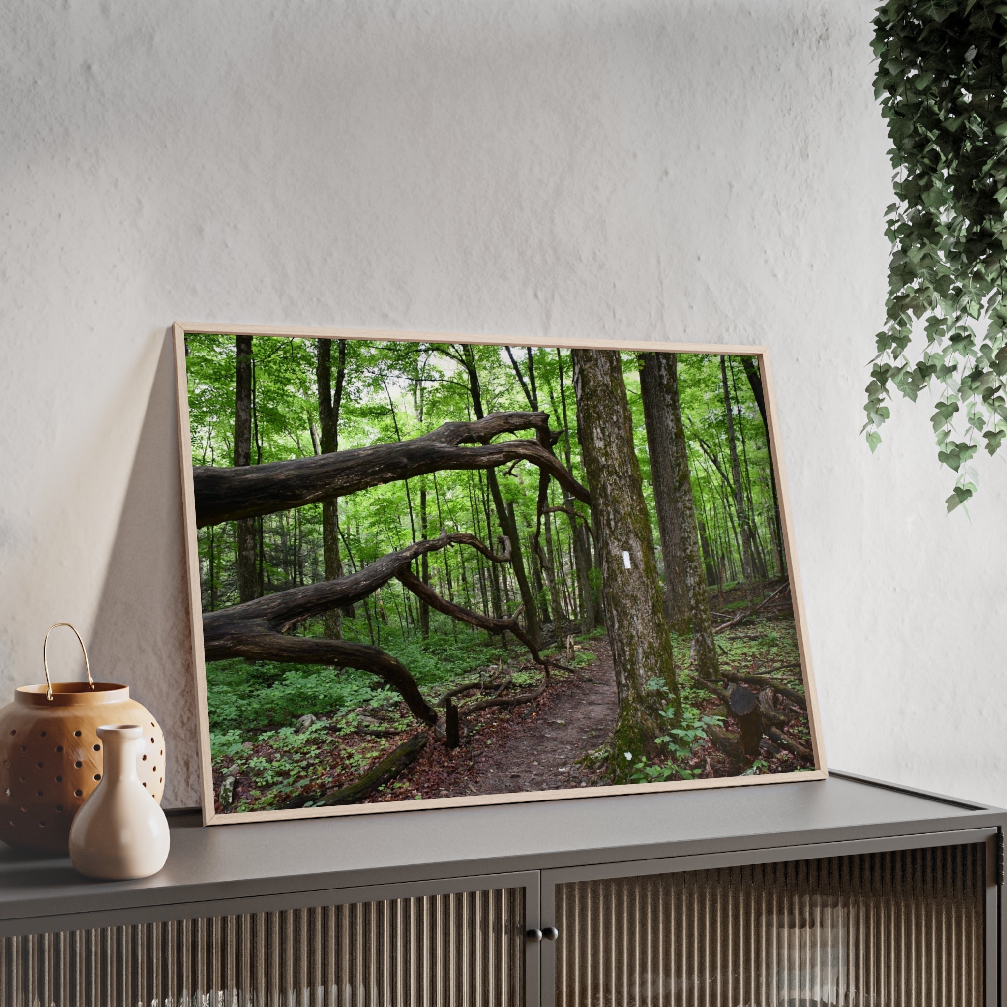 Appalachian Trail Blaze Framed Poster