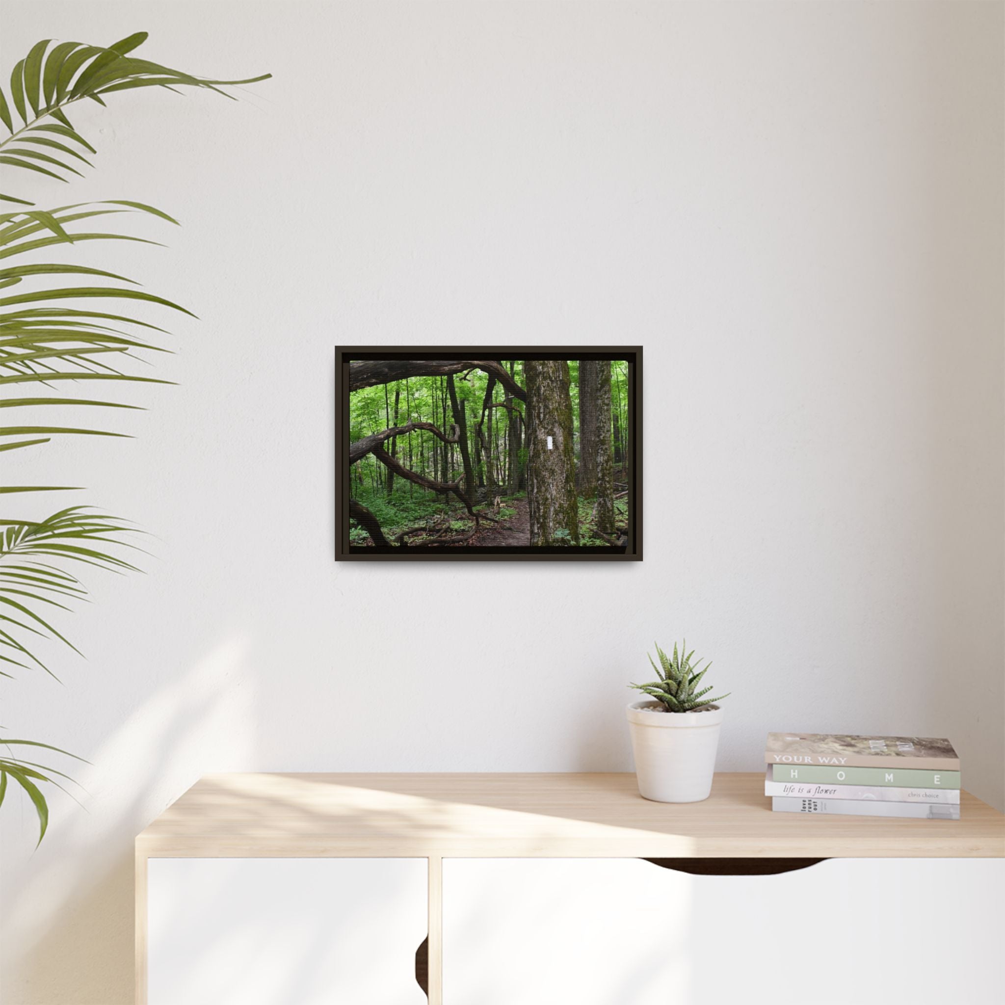 Framed Appalachian Trail Forest Canvas Print