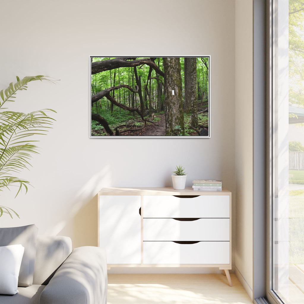 Framed Appalachian Trail Forest Canvas Print