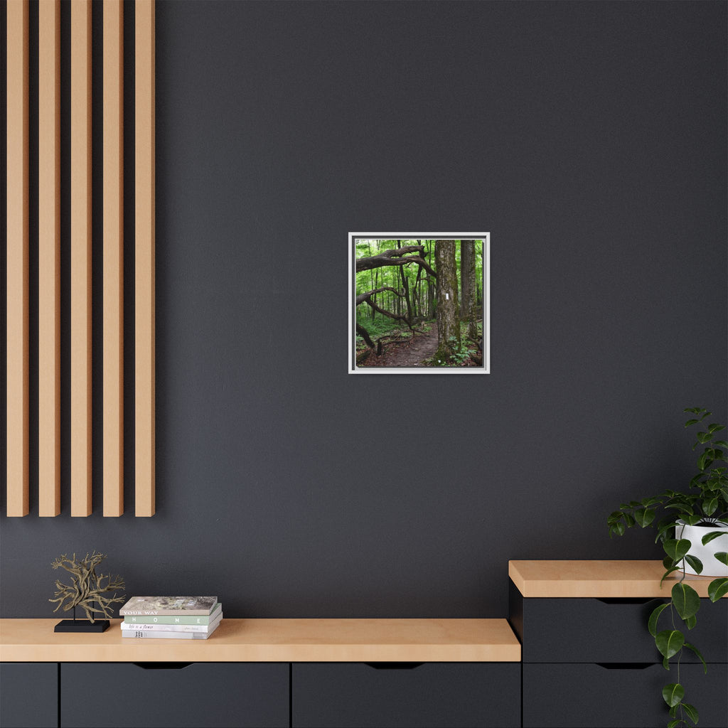 Framed Appalachian Trail Forest Canvas Print