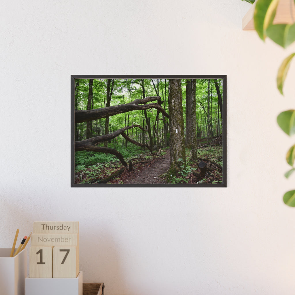 Appalachian Trail Blaze Framed Poster