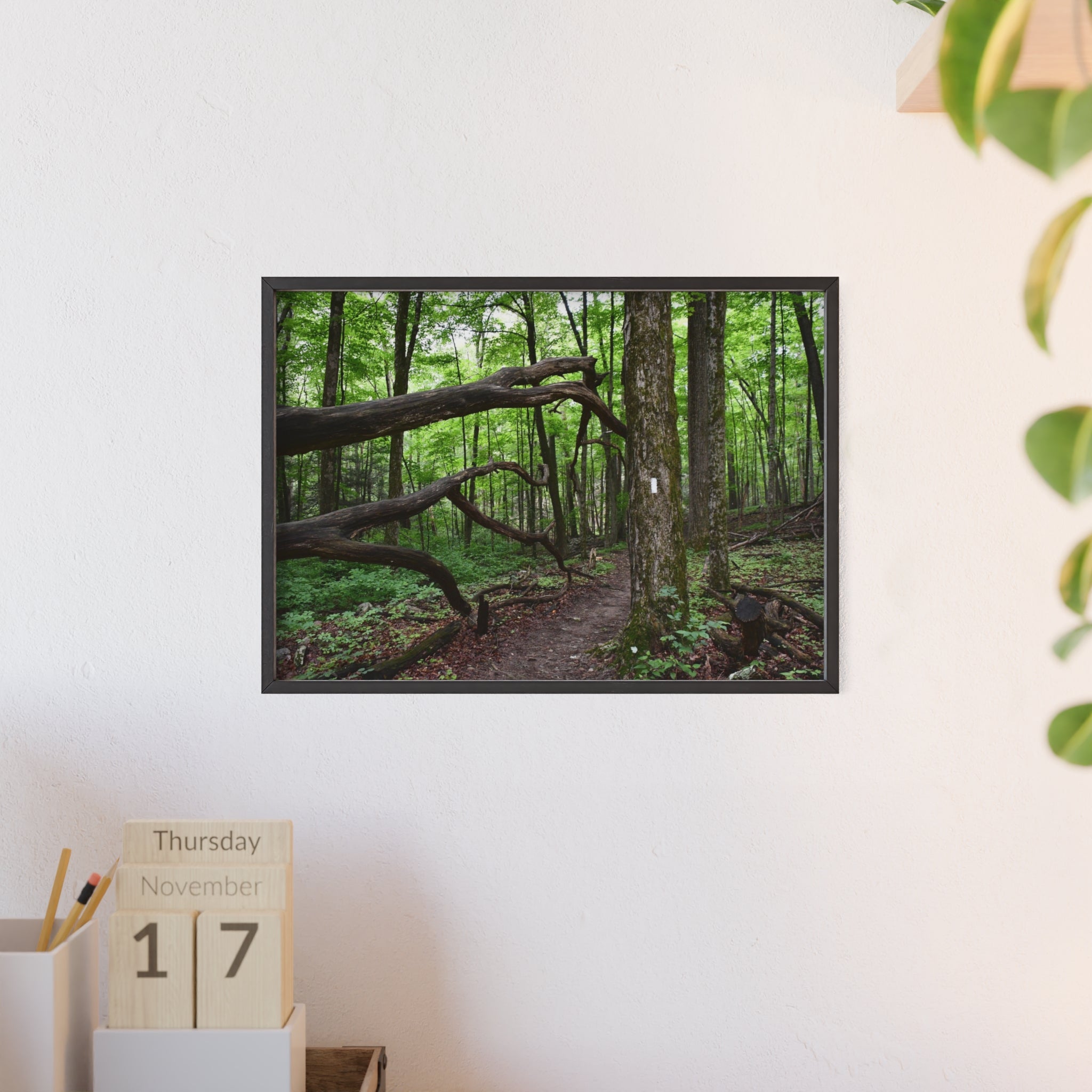 Appalachian Trail Blaze Framed Poster