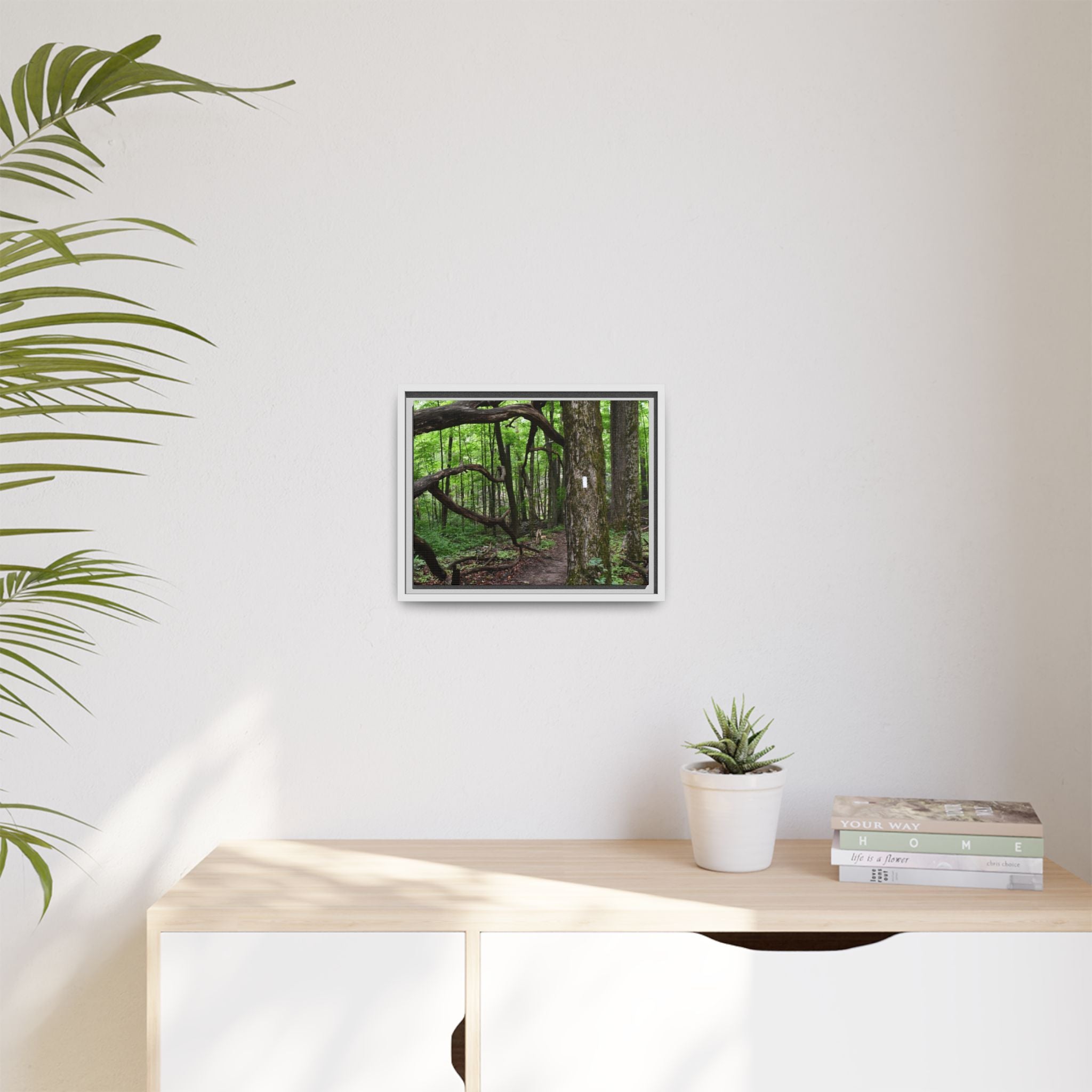Framed Appalachian Trail Forest Canvas Print