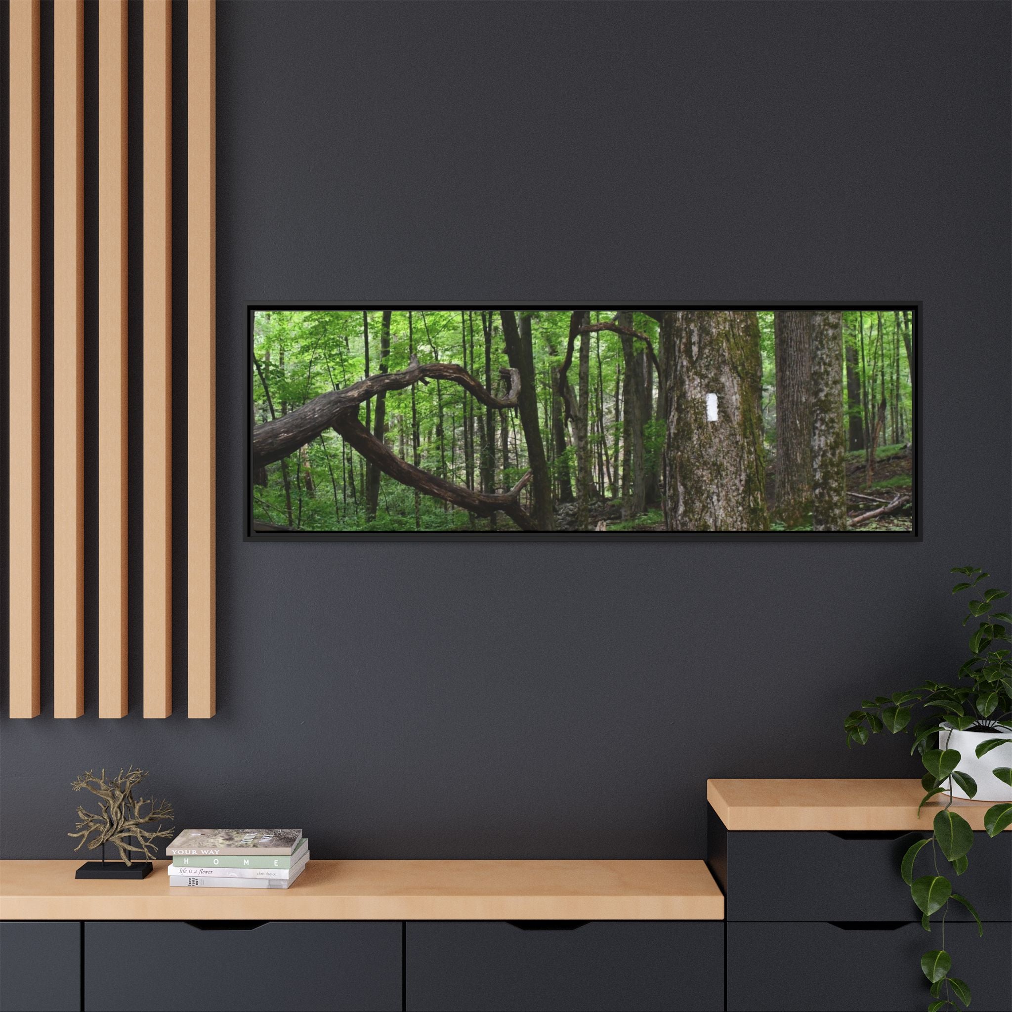 Framed Appalachian Trail Forest Canvas Print