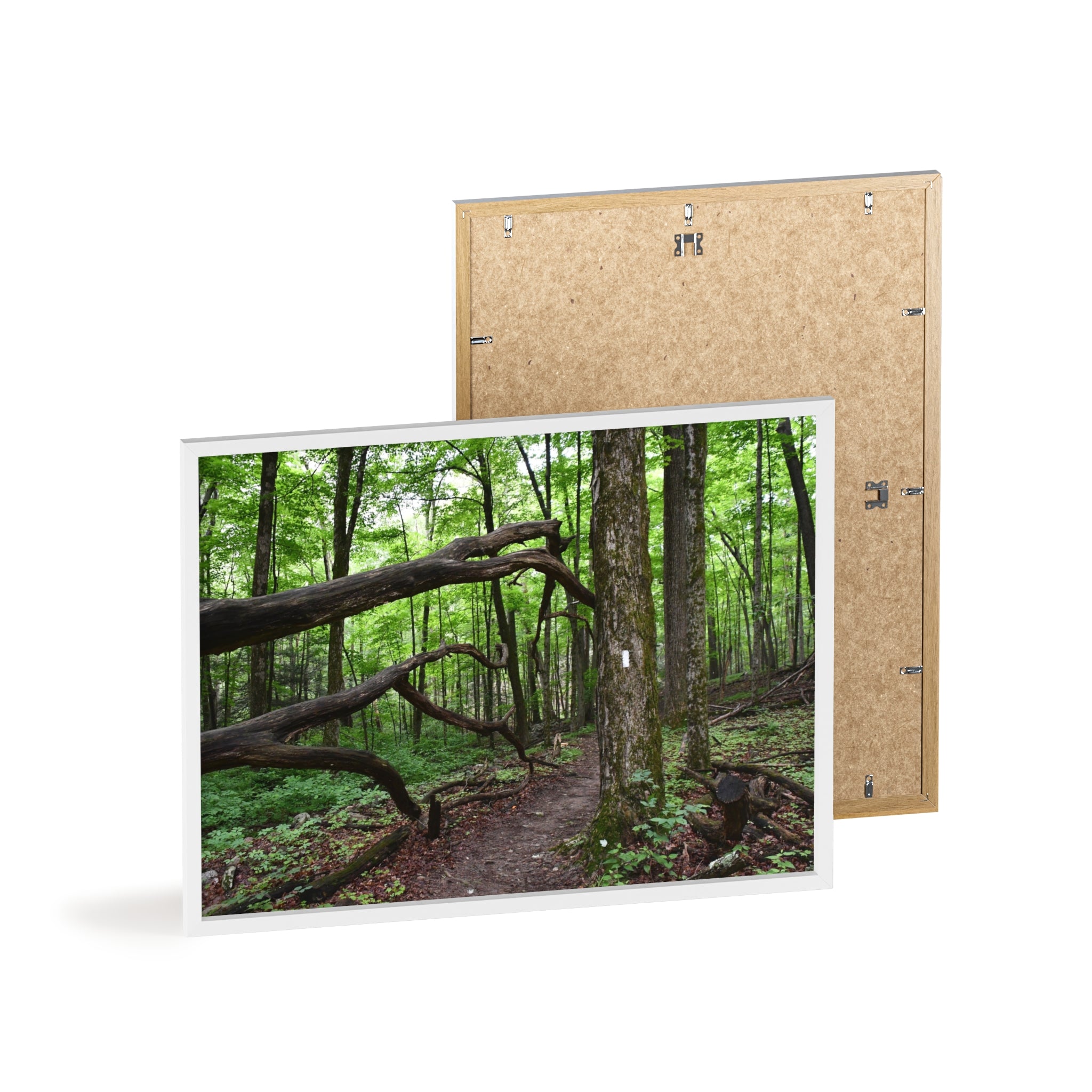Appalachian Trail Blaze Framed Poster