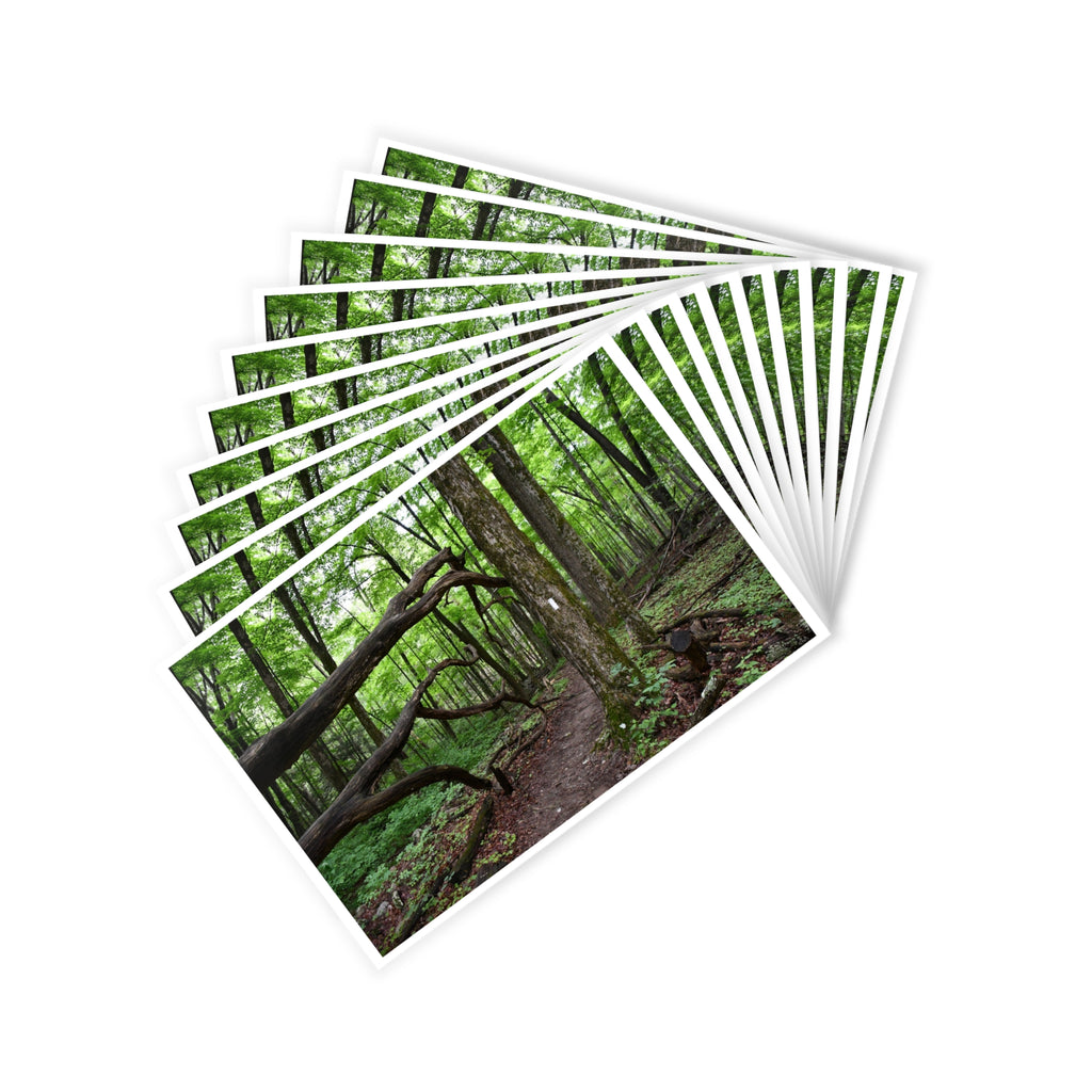 Appalachian Trail Blaze Postcard (10 ct)