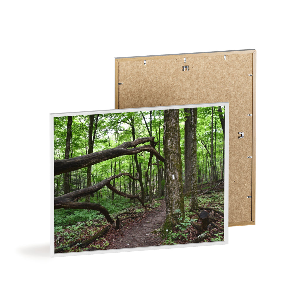 Appalachian Trail Blaze Framed Poster