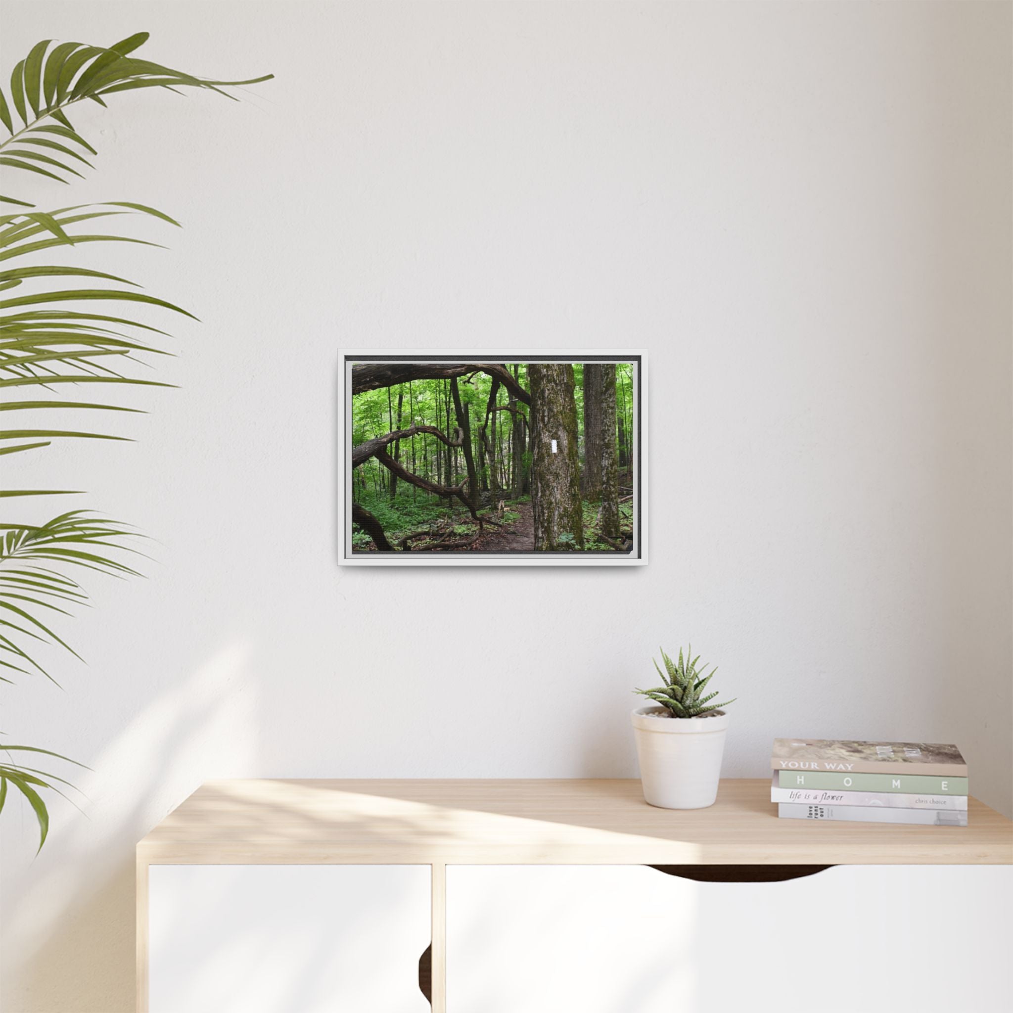 Framed Appalachian Trail Forest Canvas Print