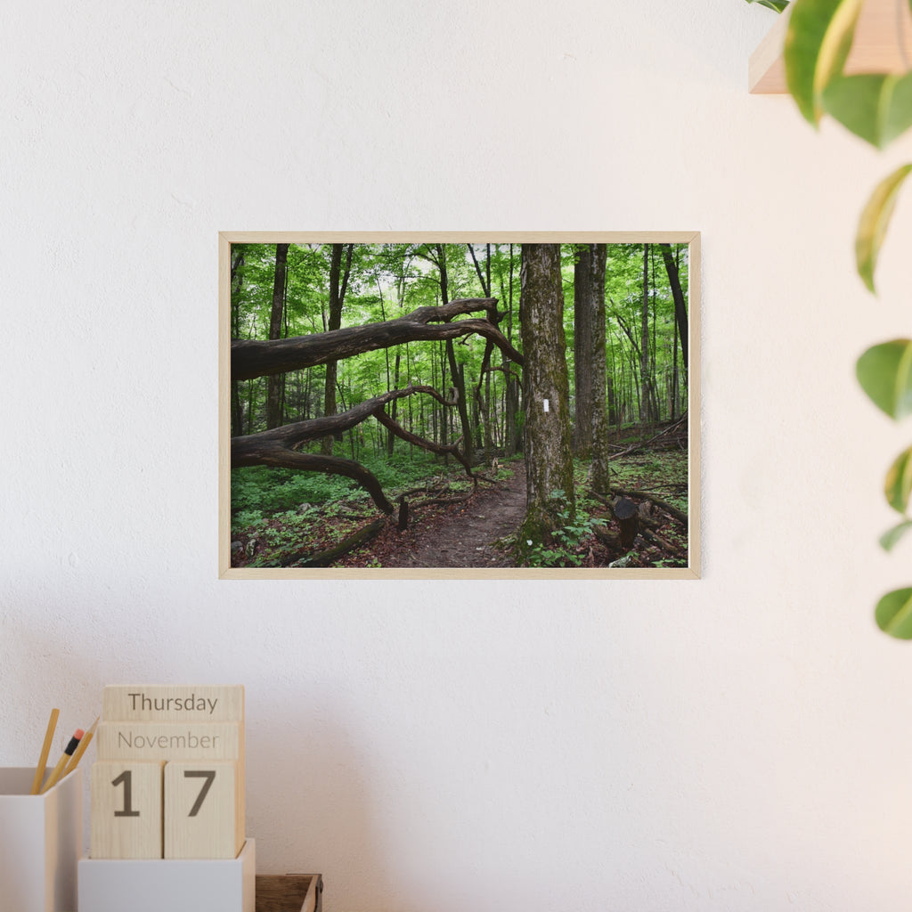 Appalachian Trail Blaze Framed Poster