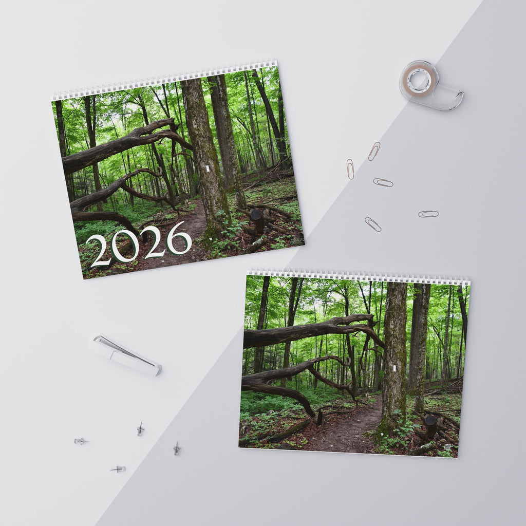 Nature Scenes 2026 Wall Calendar