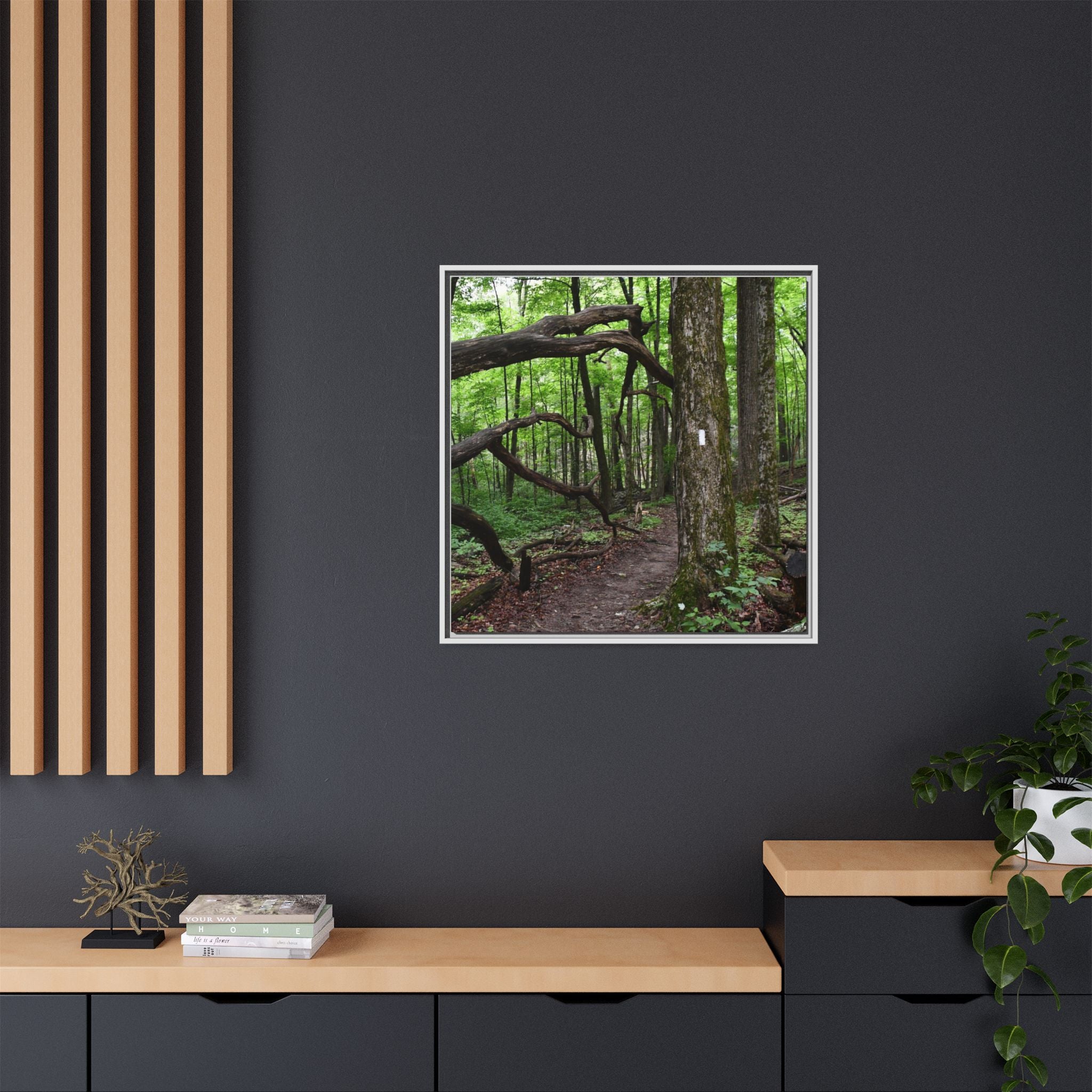 Framed Appalachian Trail Forest Canvas Print