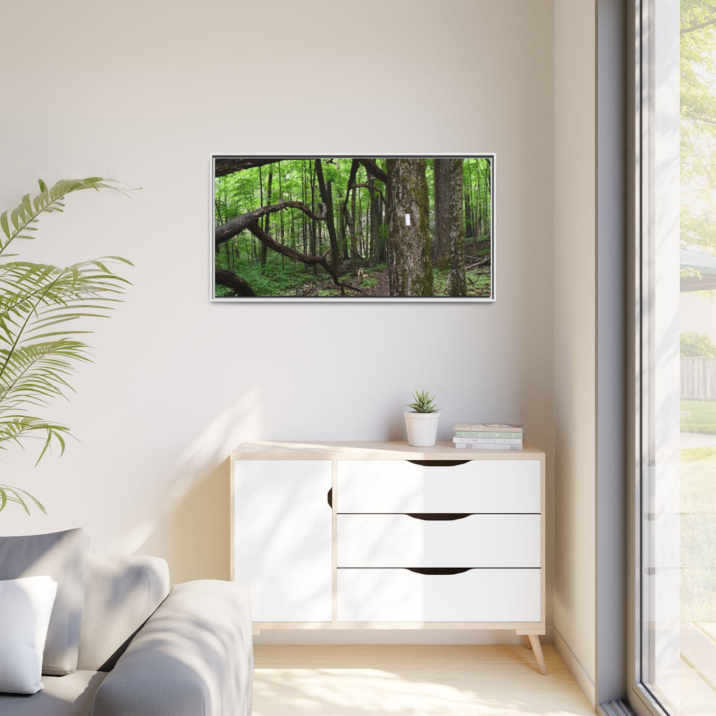 Framed Appalachian Trail Forest Canvas Print