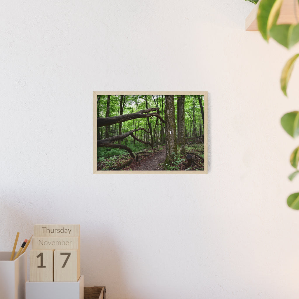 Appalachian Trail Blaze Framed Poster