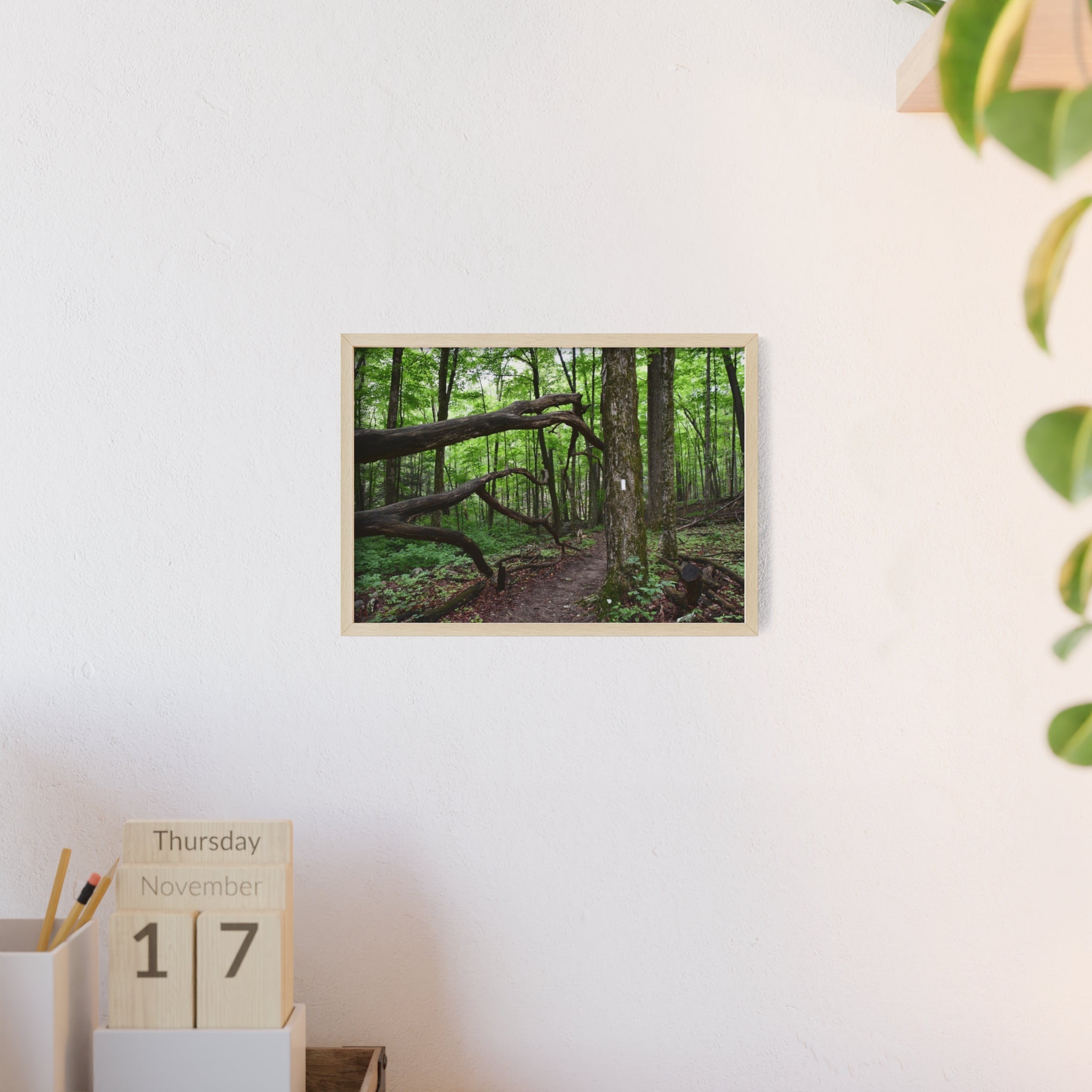 Appalachian Trail Blaze Framed Poster