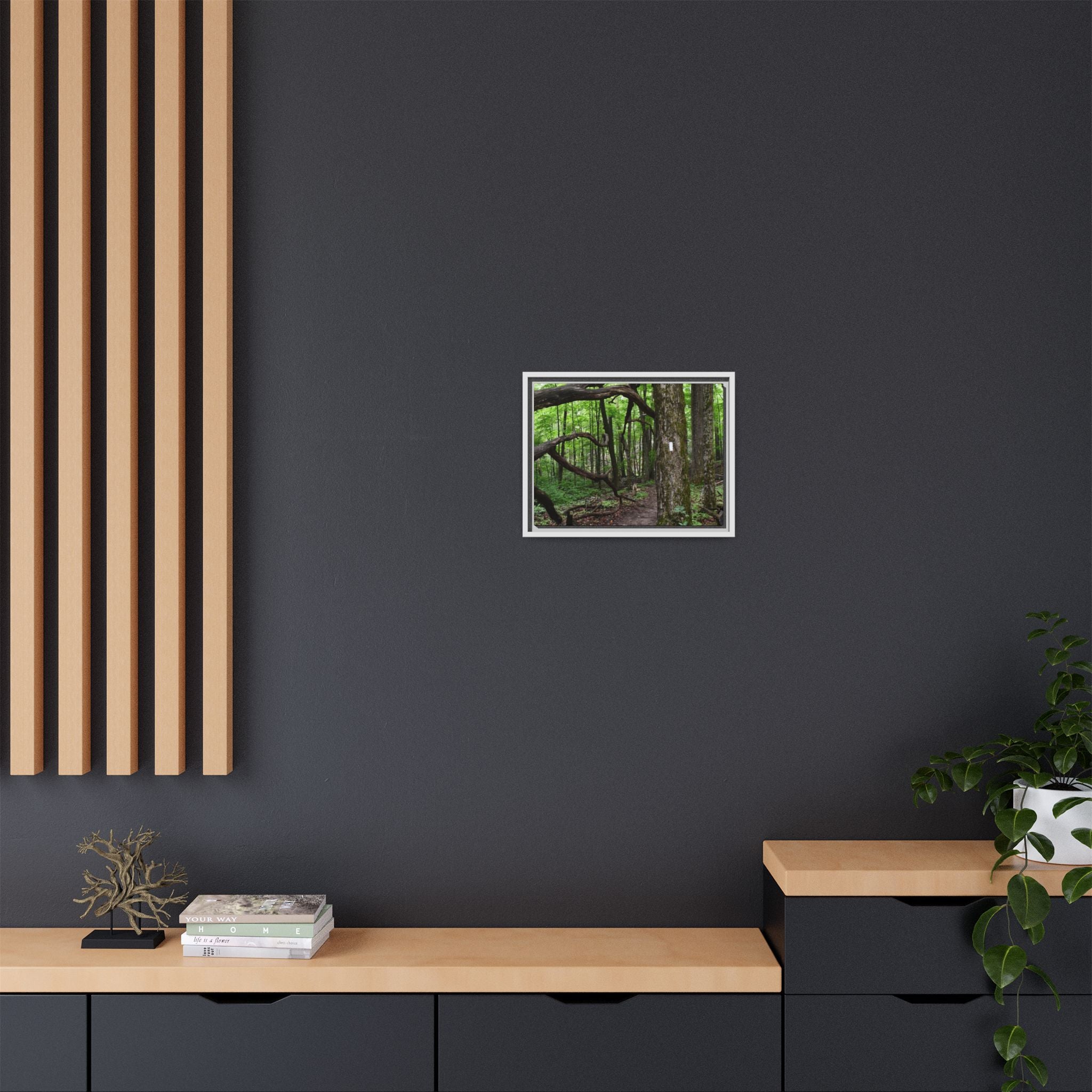 Framed Appalachian Trail Forest Canvas Print