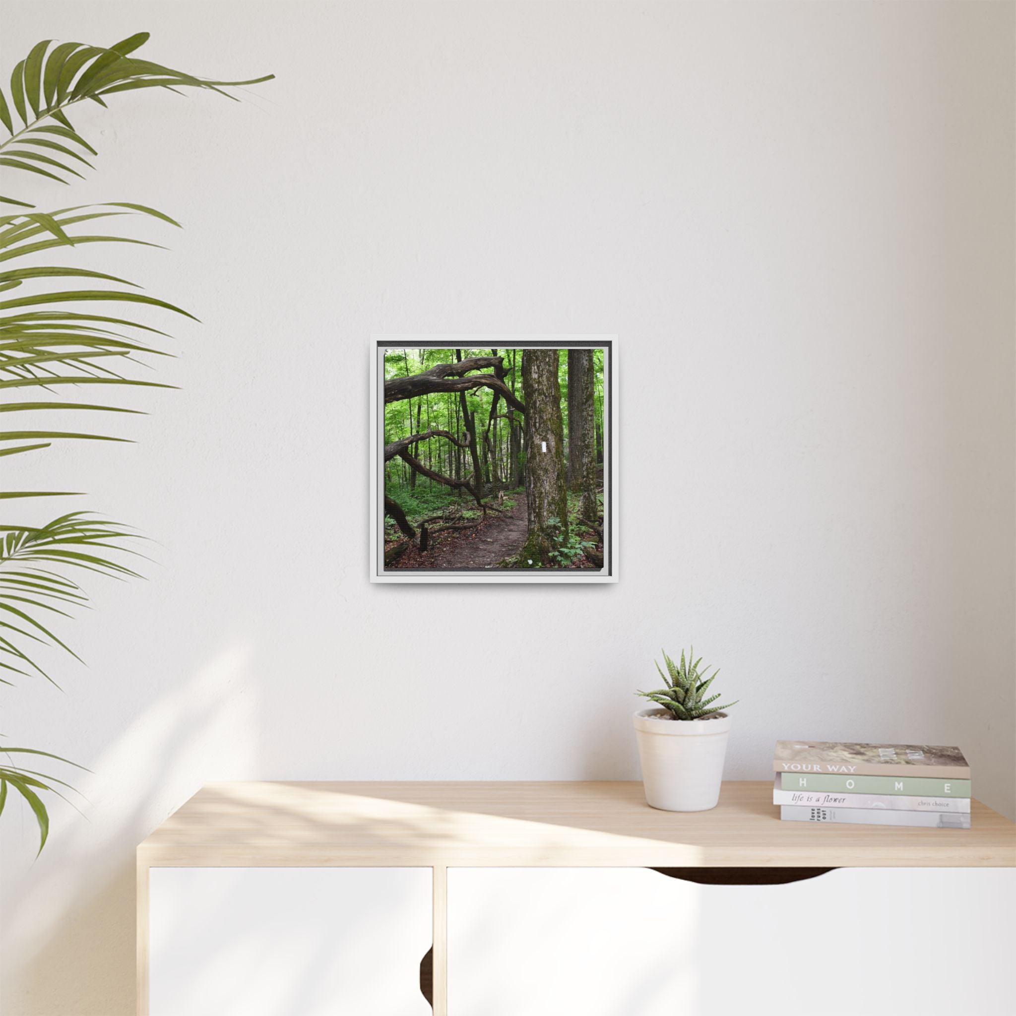 Framed Appalachian Trail Forest Canvas Print