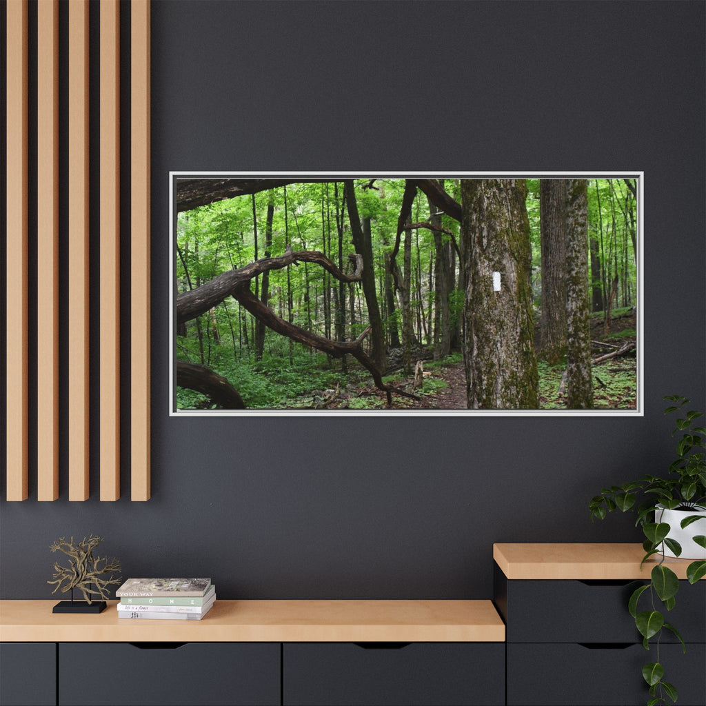 Framed Appalachian Trail Forest Canvas Print