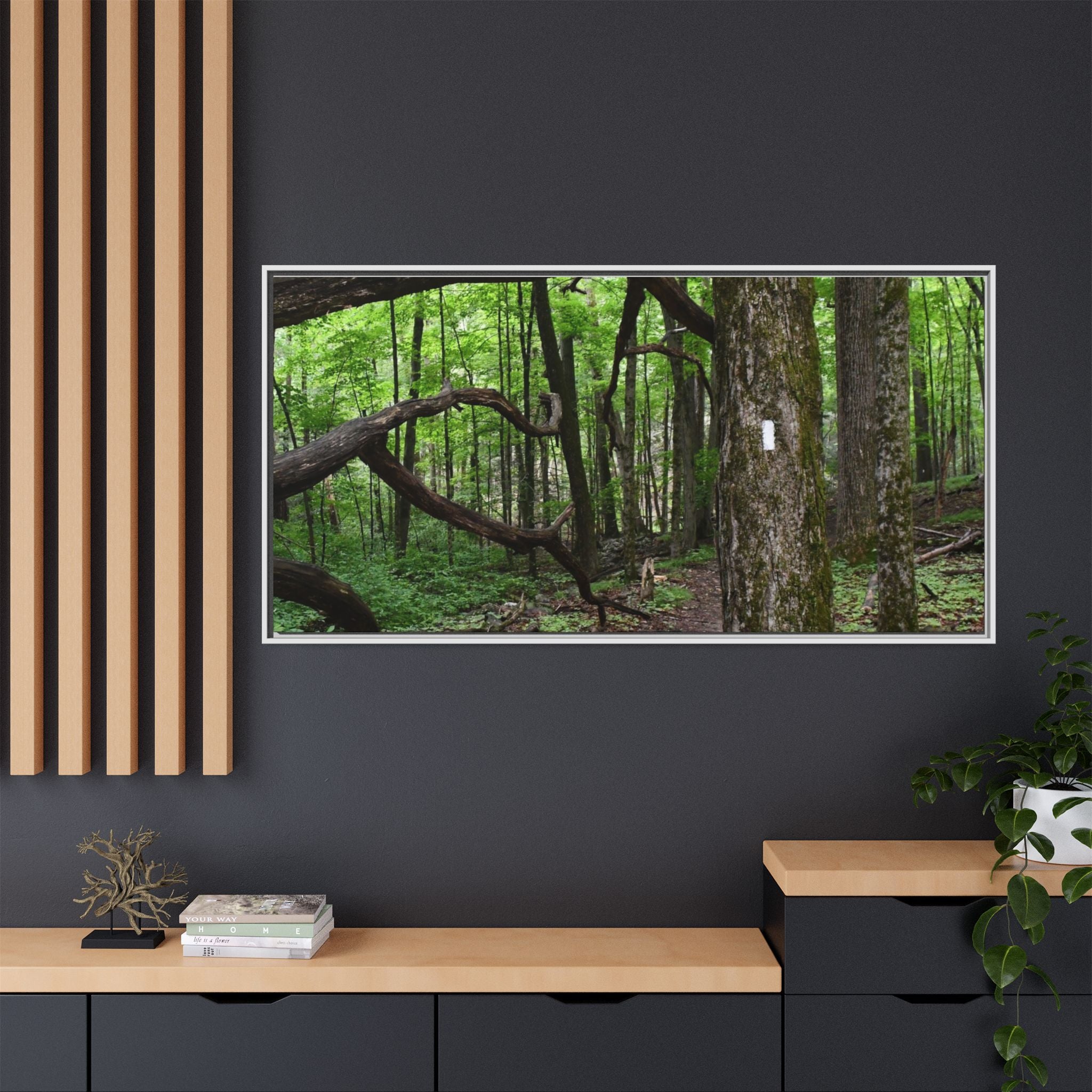 Framed Appalachian Trail Forest Canvas Print