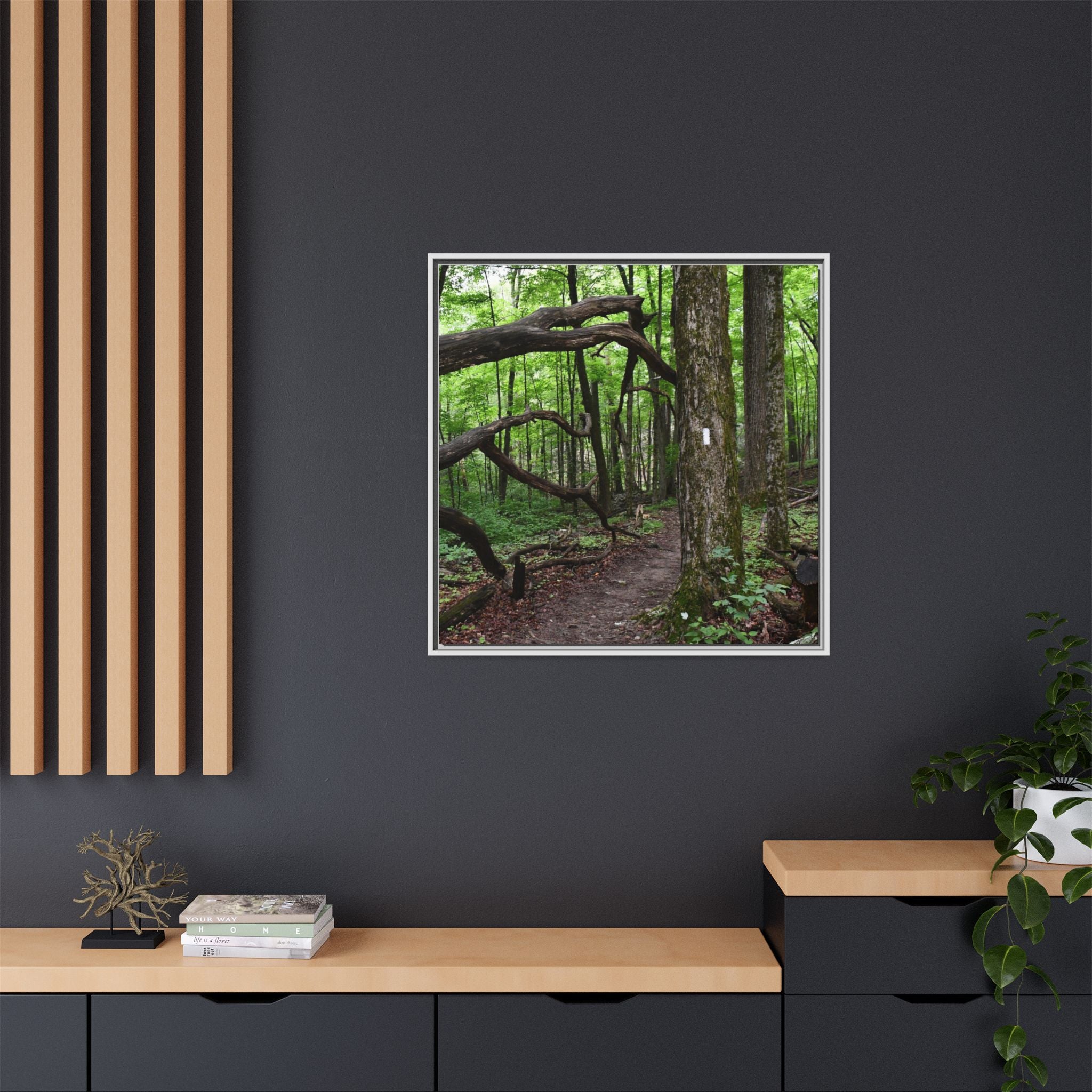 Framed Appalachian Trail Forest Canvas Print
