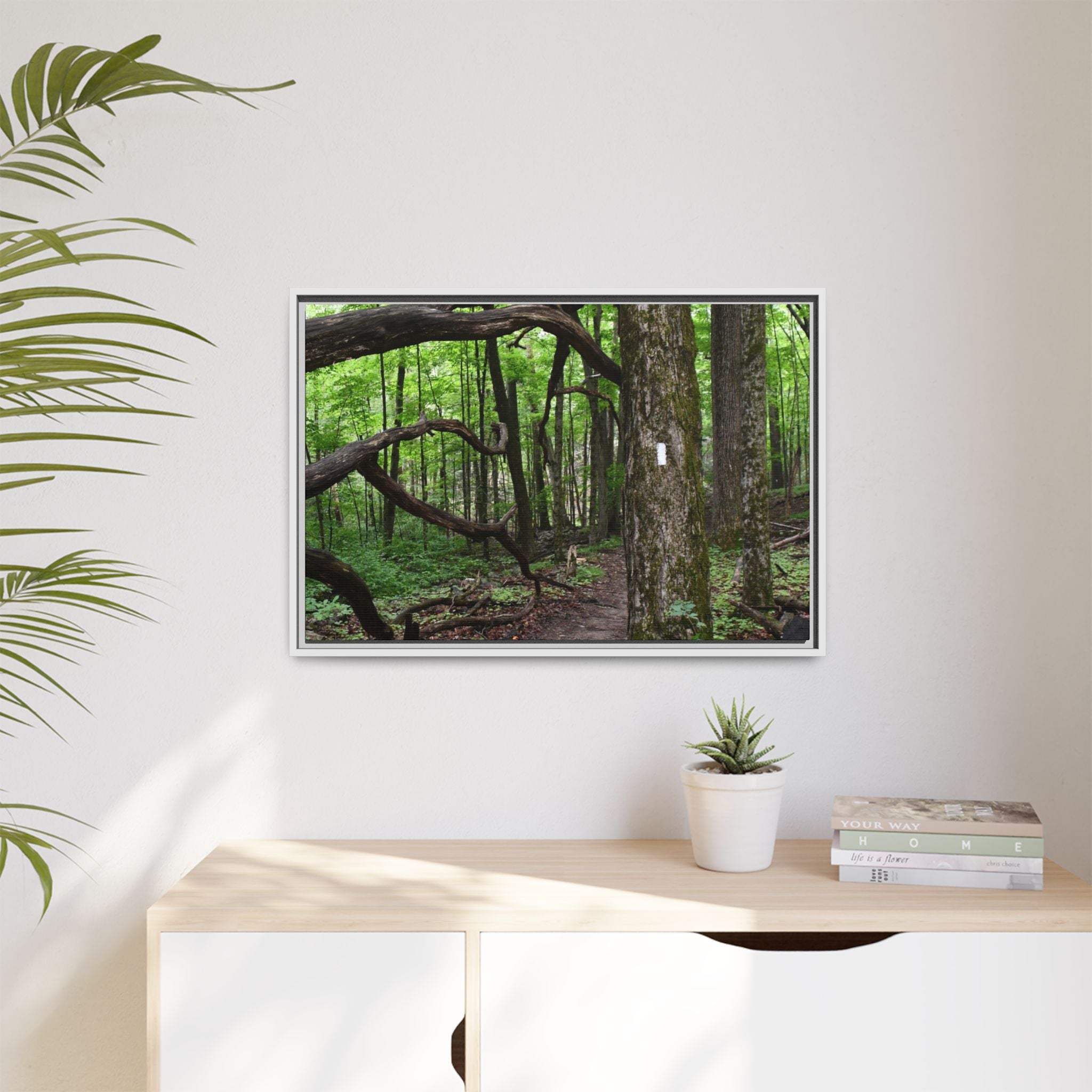 Framed Appalachian Trail Forest Canvas Print