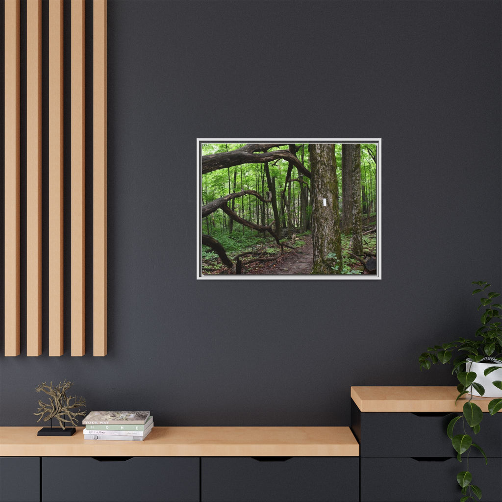 Framed Appalachian Trail Forest Canvas Print
