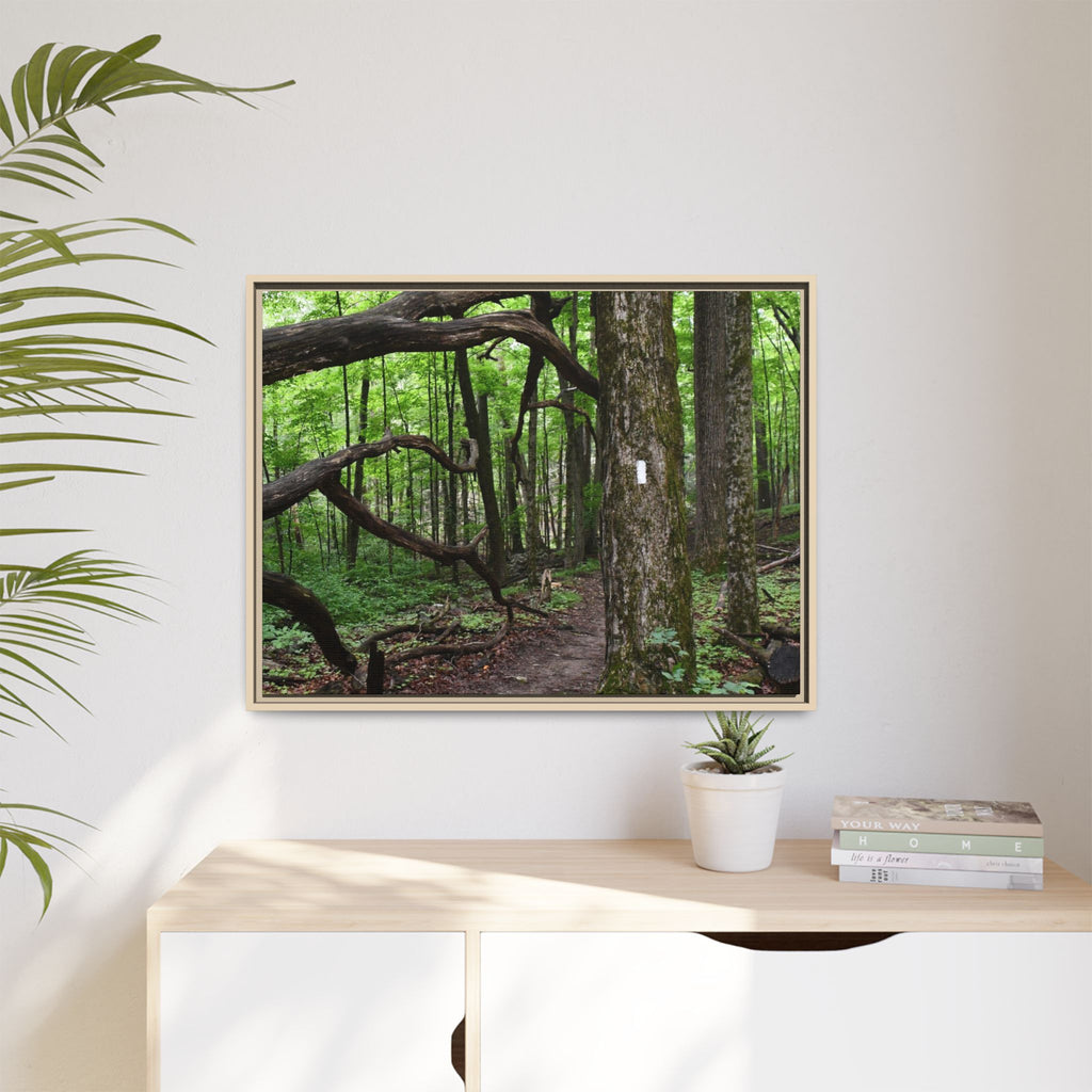 Framed Appalachian Trail Forest Canvas Print
