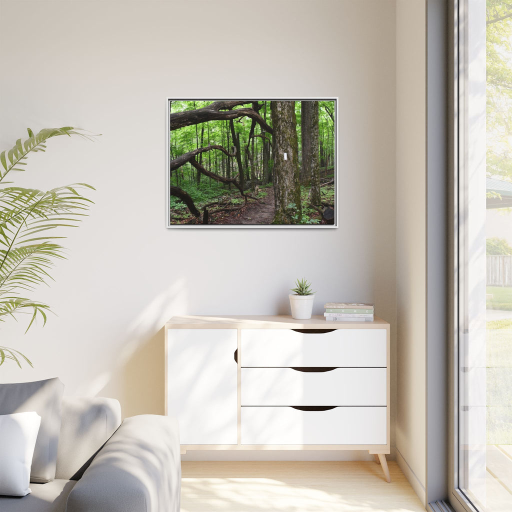 Framed Appalachian Trail Forest Canvas Print