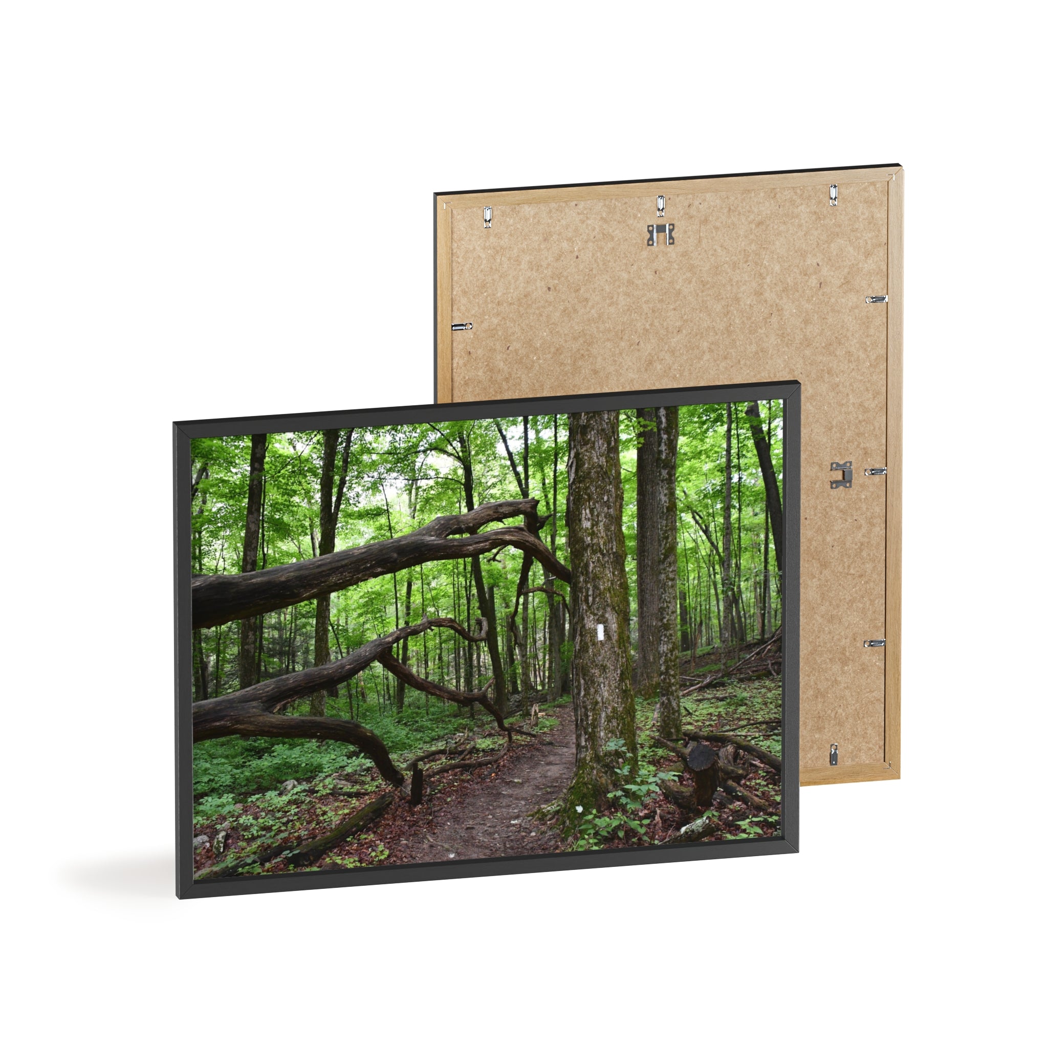 Appalachian Trail Blaze Framed Poster