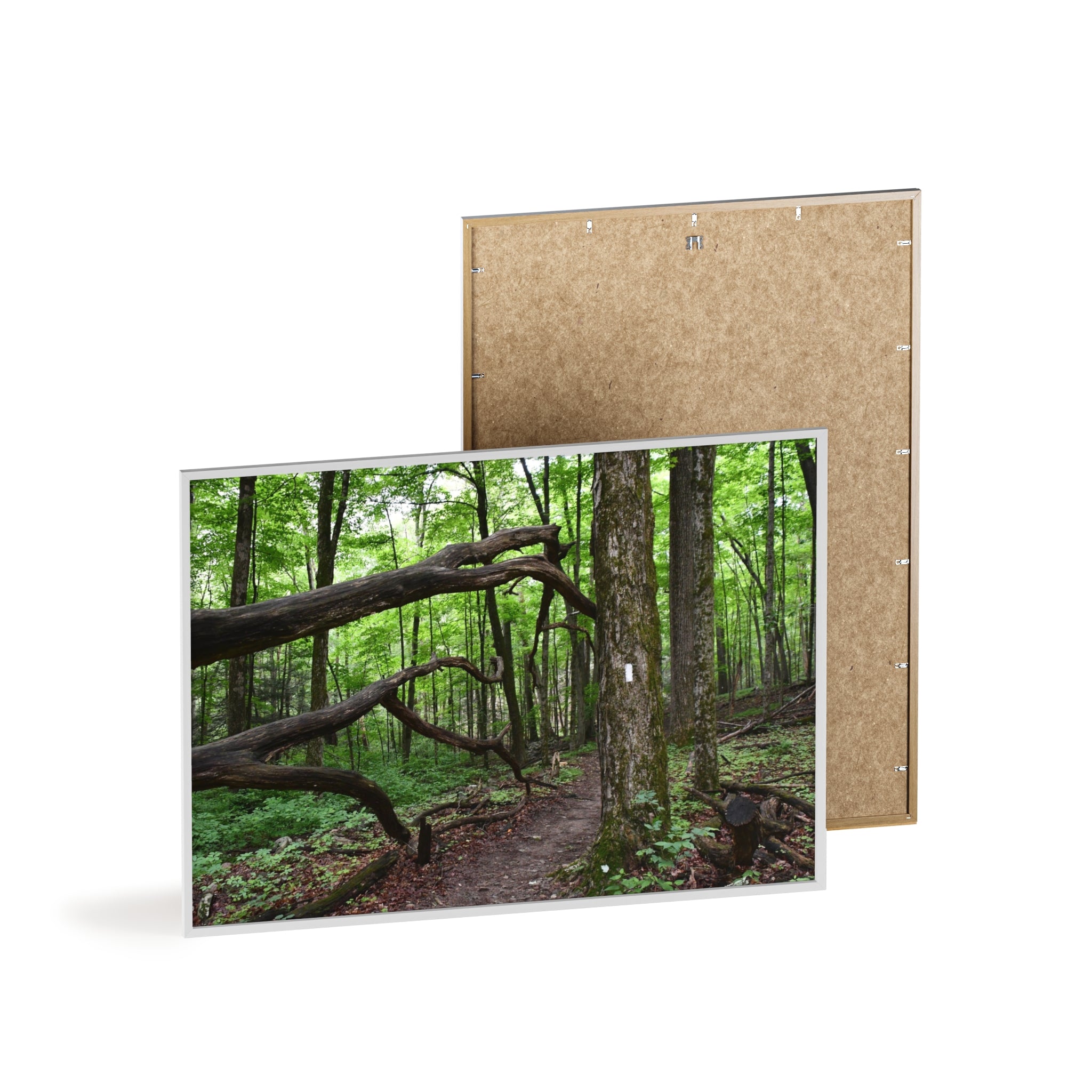 Appalachian Trail Blaze Framed Poster