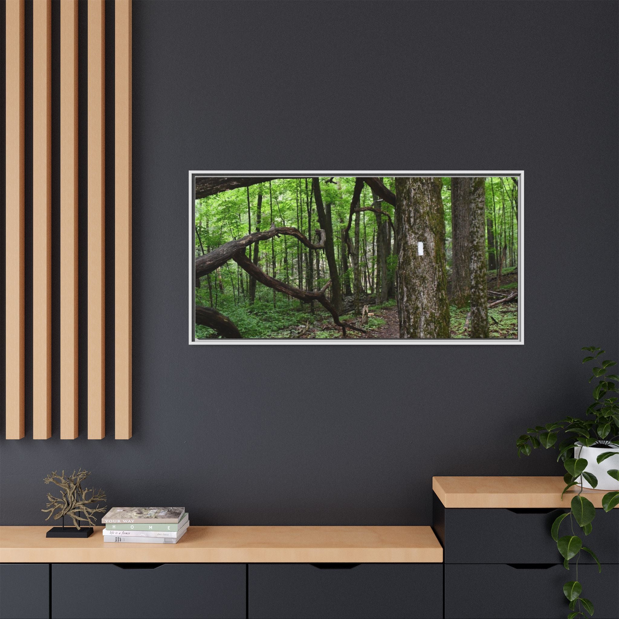 Framed Appalachian Trail Forest Canvas Print