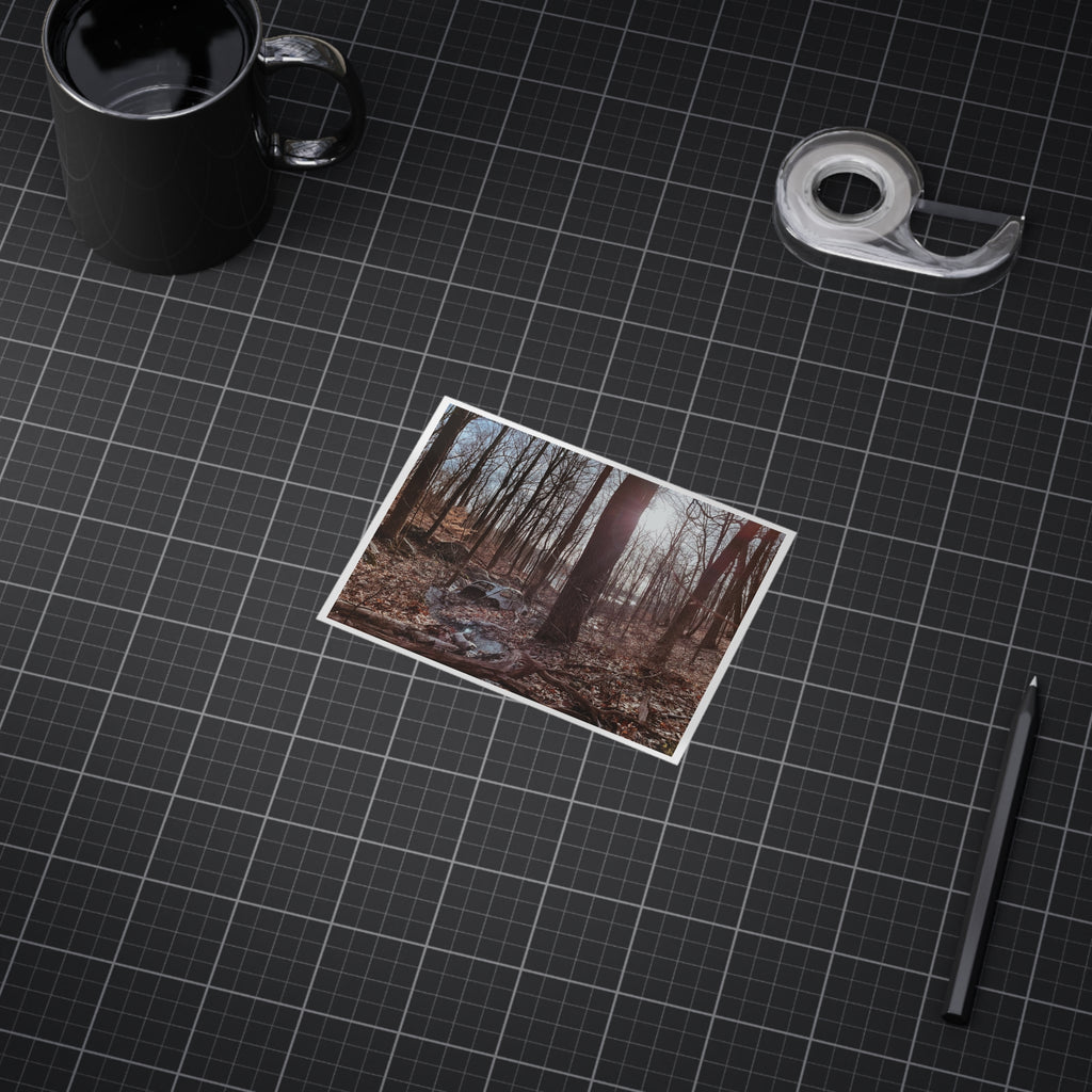 "Winter Stream" Forest Photo Print