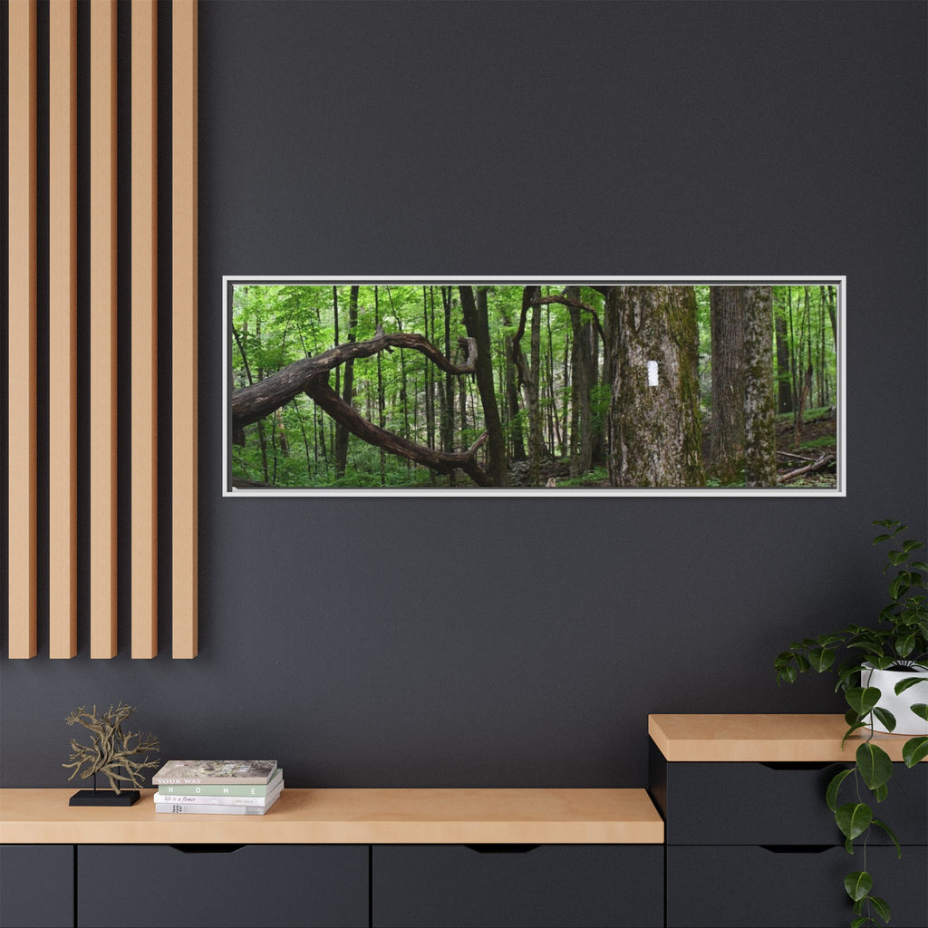 Framed Appalachian Trail Forest Canvas Print