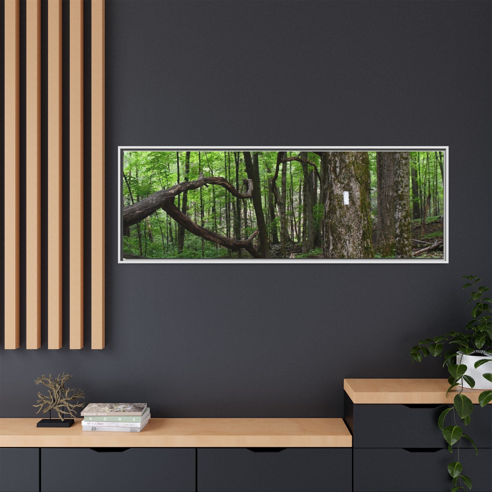 Framed Appalachian Trail Forest Canvas Print