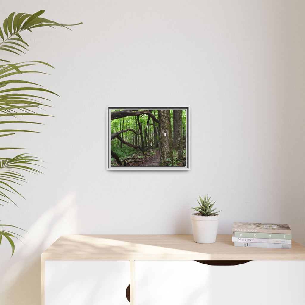 Framed Appalachian Trail Forest Canvas Print
