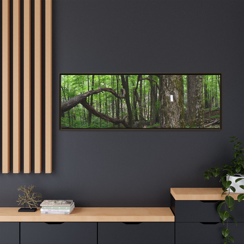 Framed Appalachian Trail Forest Canvas Print