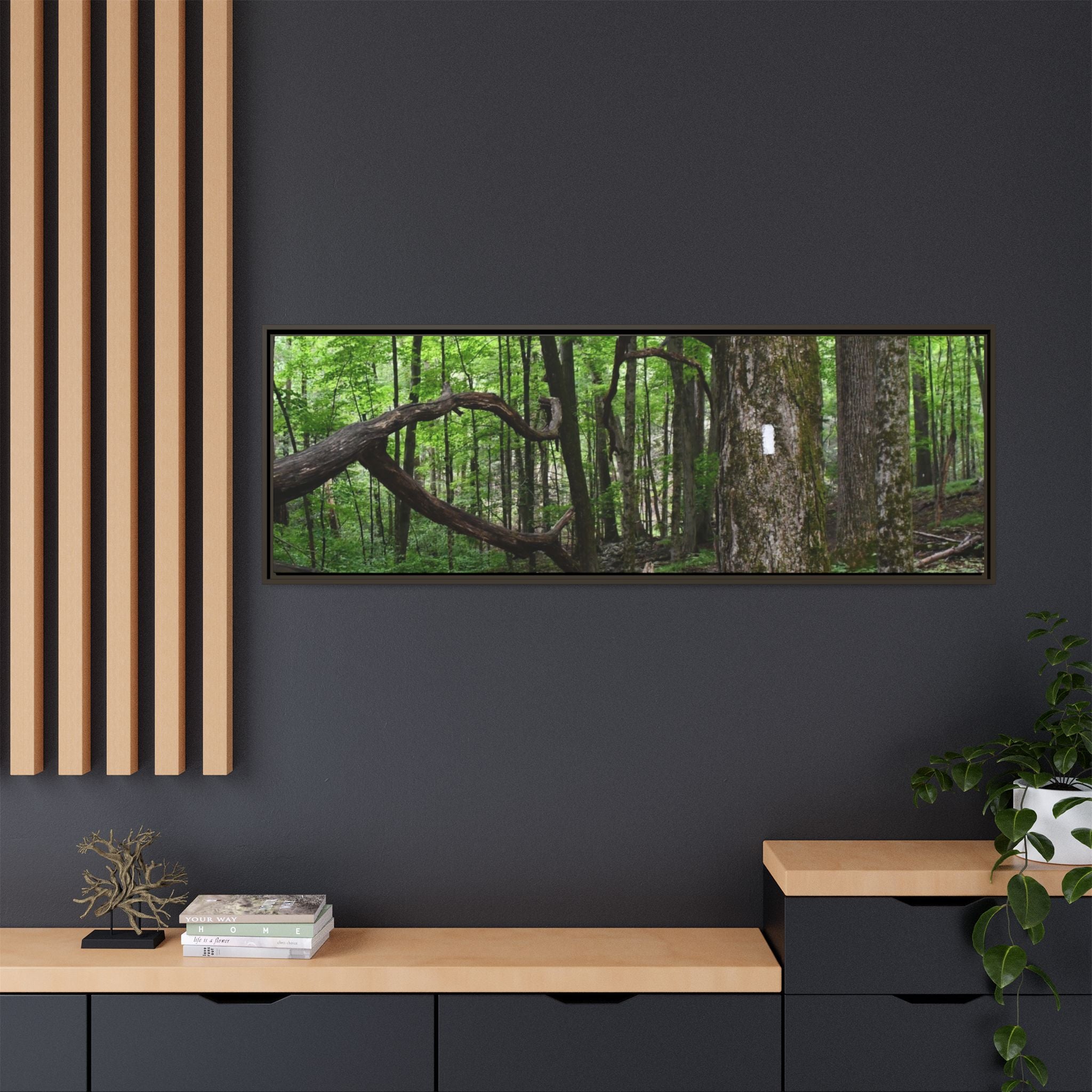 Framed Appalachian Trail Forest Canvas Print