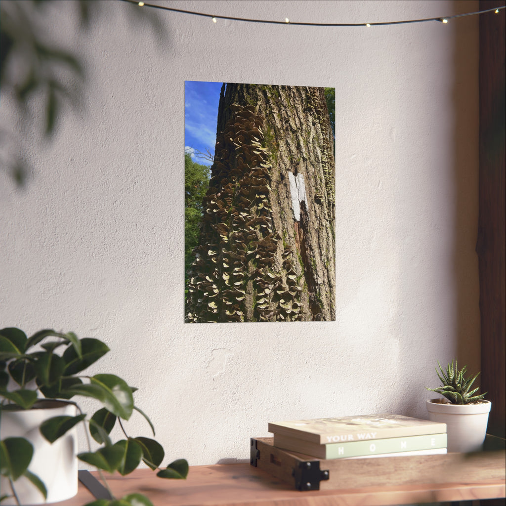 Appalachian Trail Blaze Poster (Multiple Sizes)
