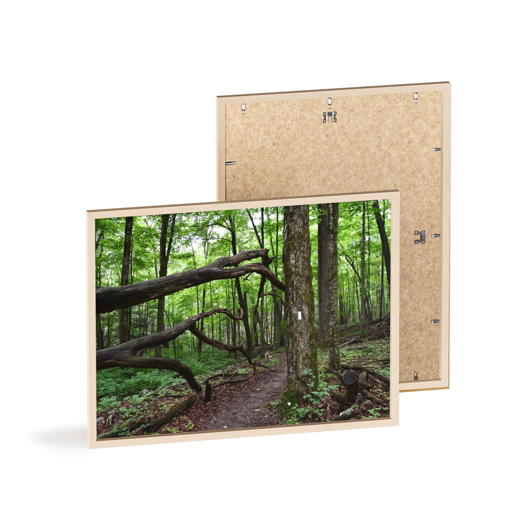 Appalachian Trail Blaze Framed Poster